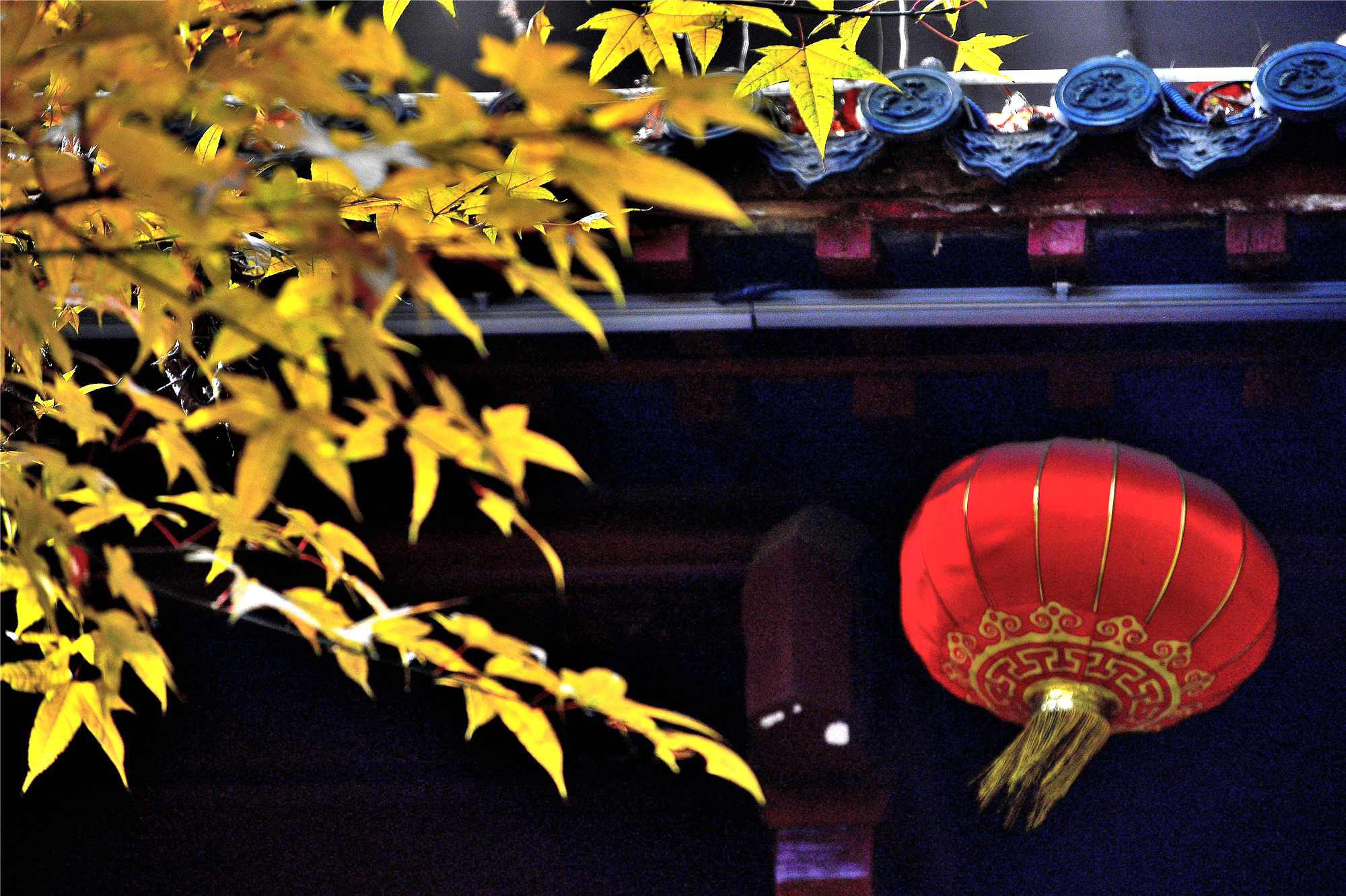 DSC_4014 n 2_副本2.jpg
