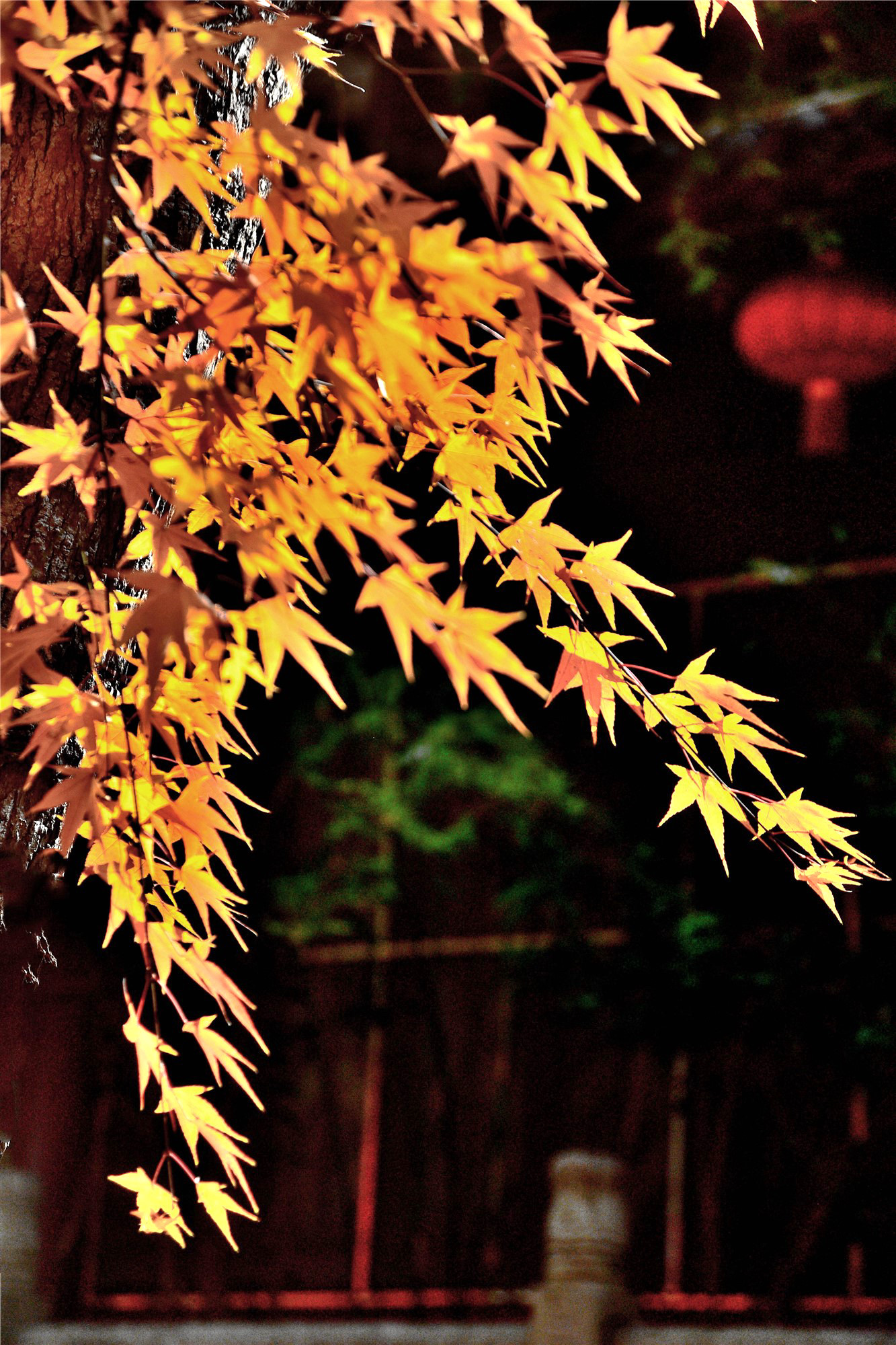 DSC_4030 n 2_副本2.jpg