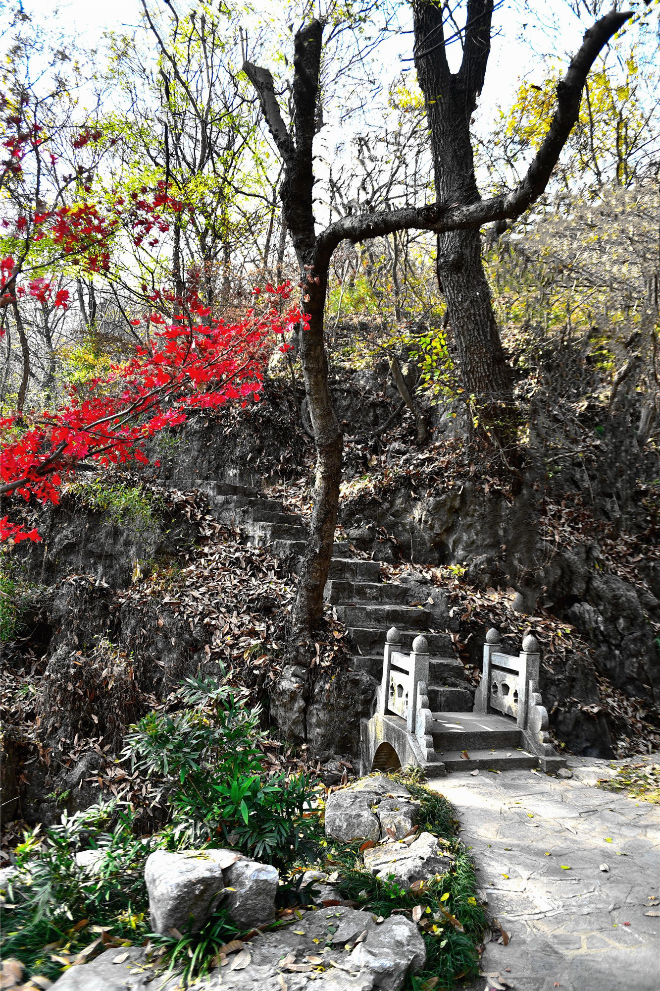 DSC_4061 n_副本2.jpg