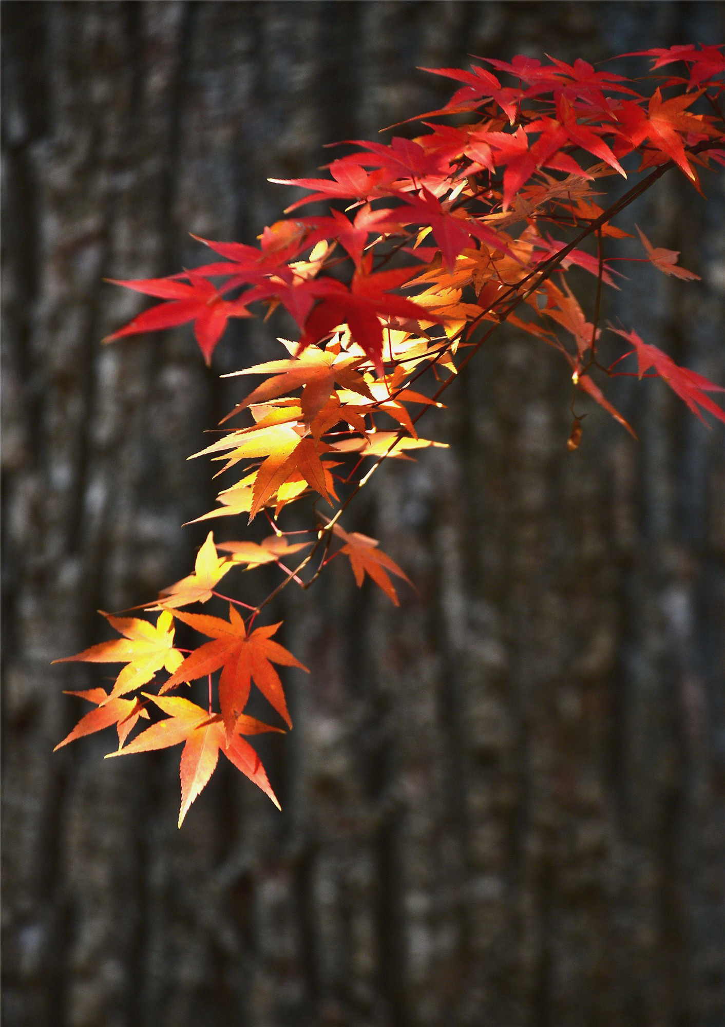 DSC_4072 n34_副本2.jpg