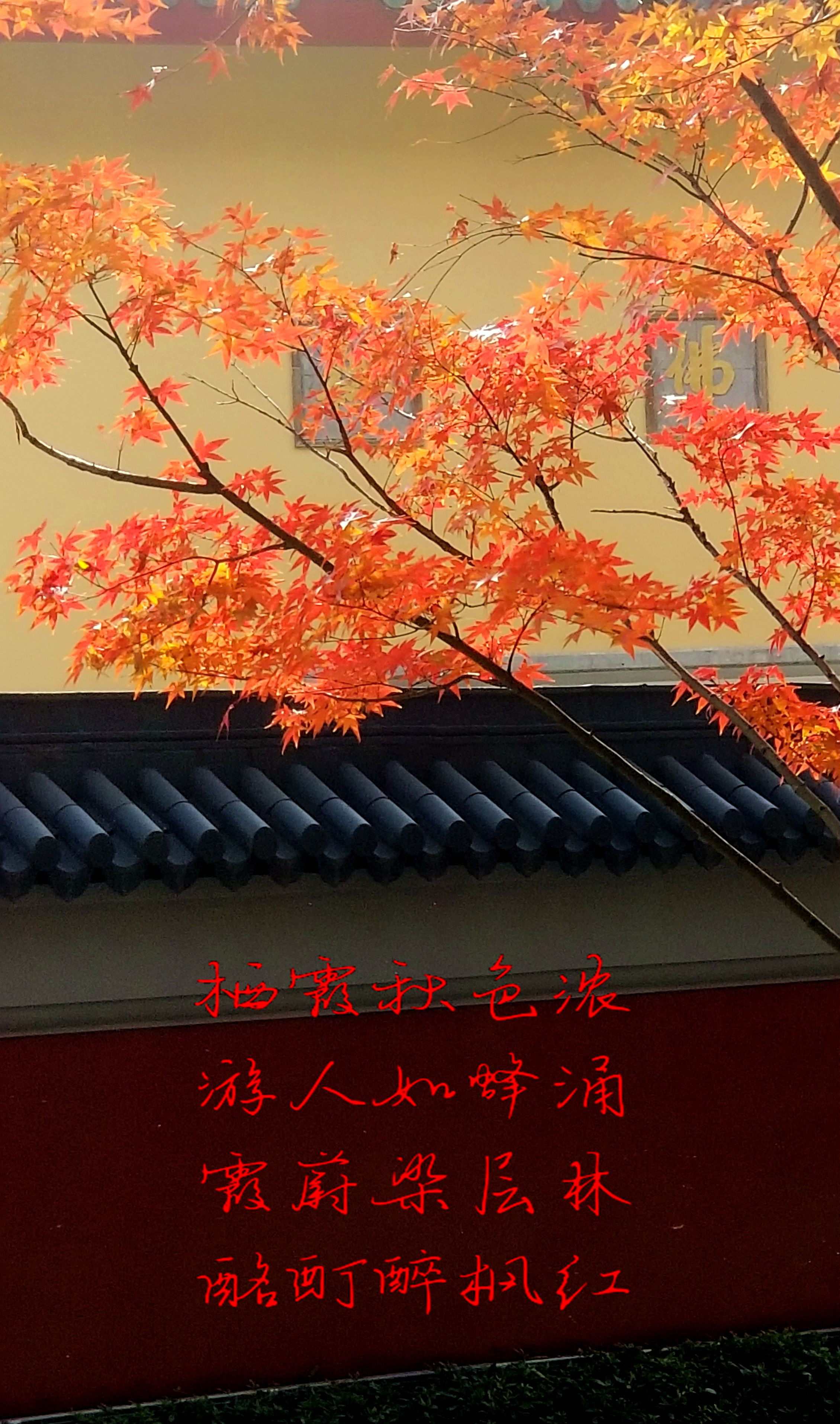 20191212_125611_副本2.jpg