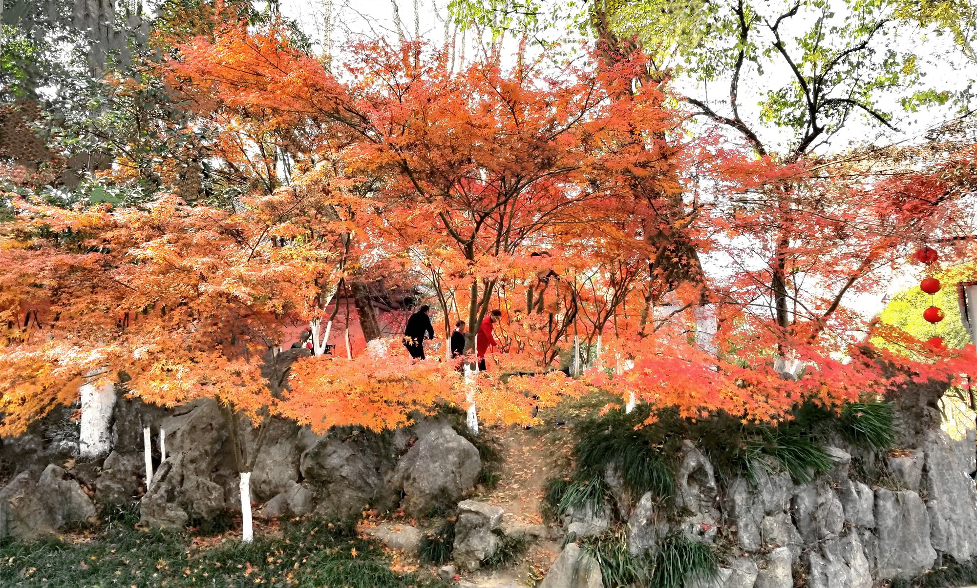 20191212_101840_副本2.jpg