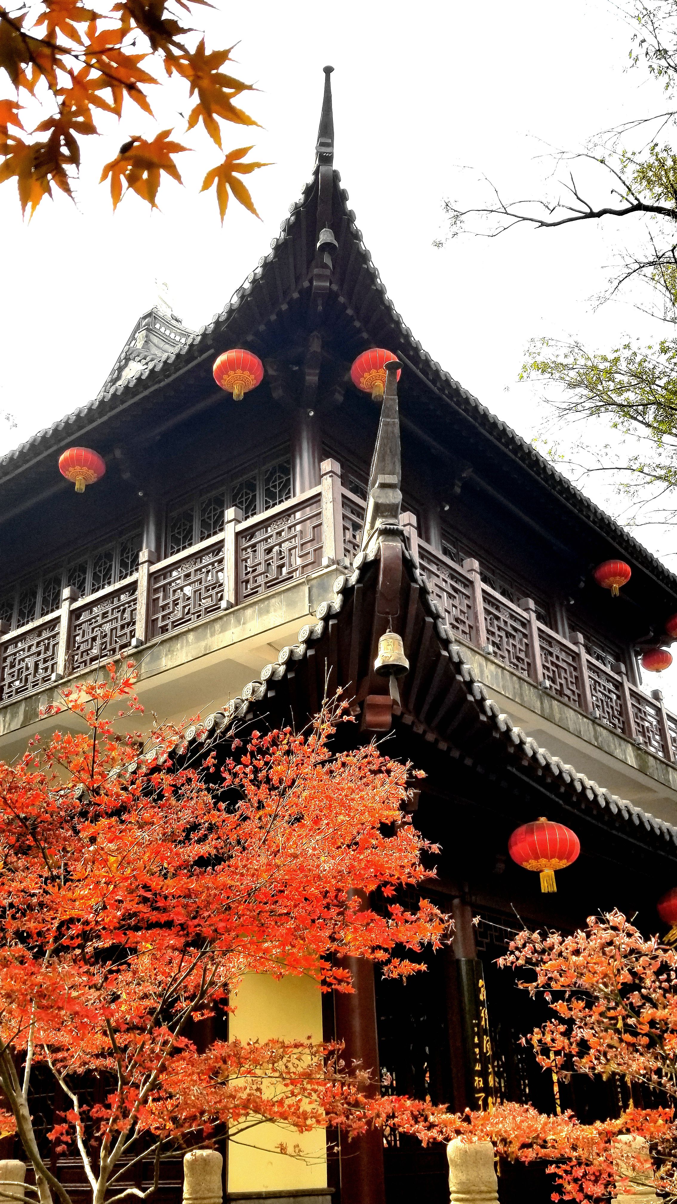 20191212_113141_副本.jpg