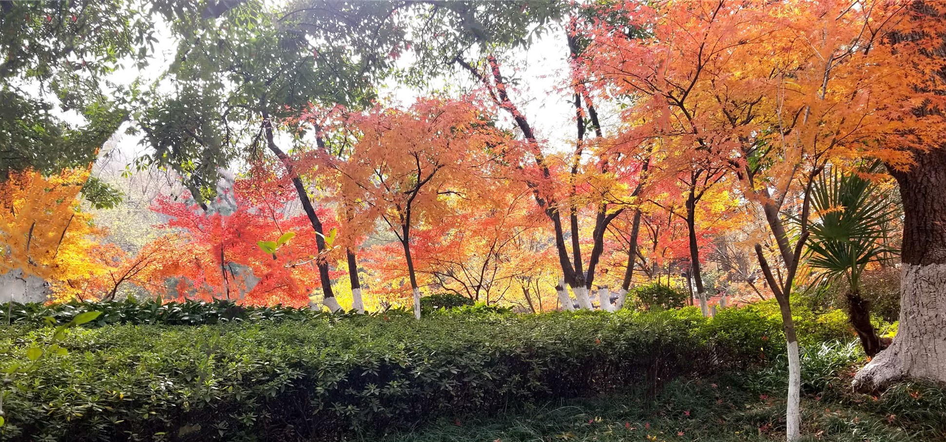 20191212_122639_副本 m2.jpg
