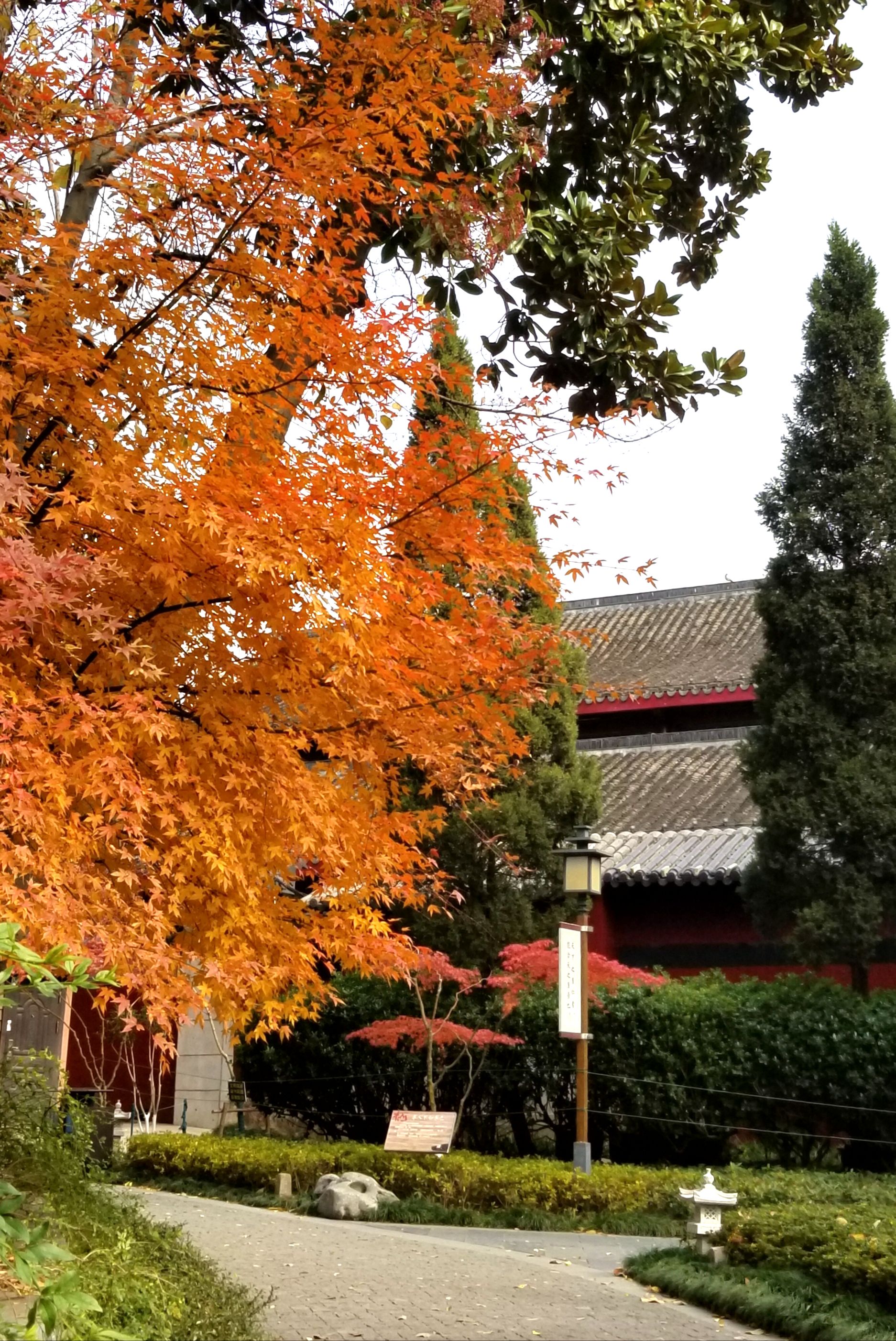 20191212_155501_副本.jpg