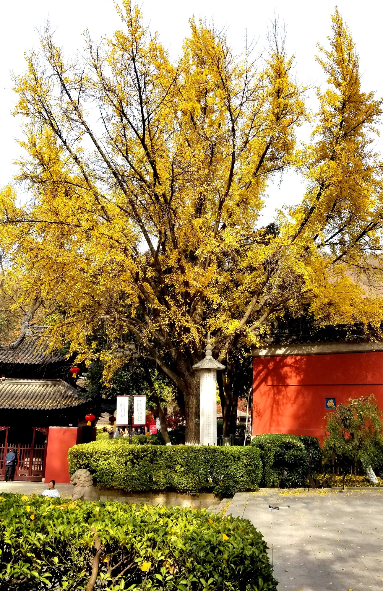 20191212_114359_副本2.jpg