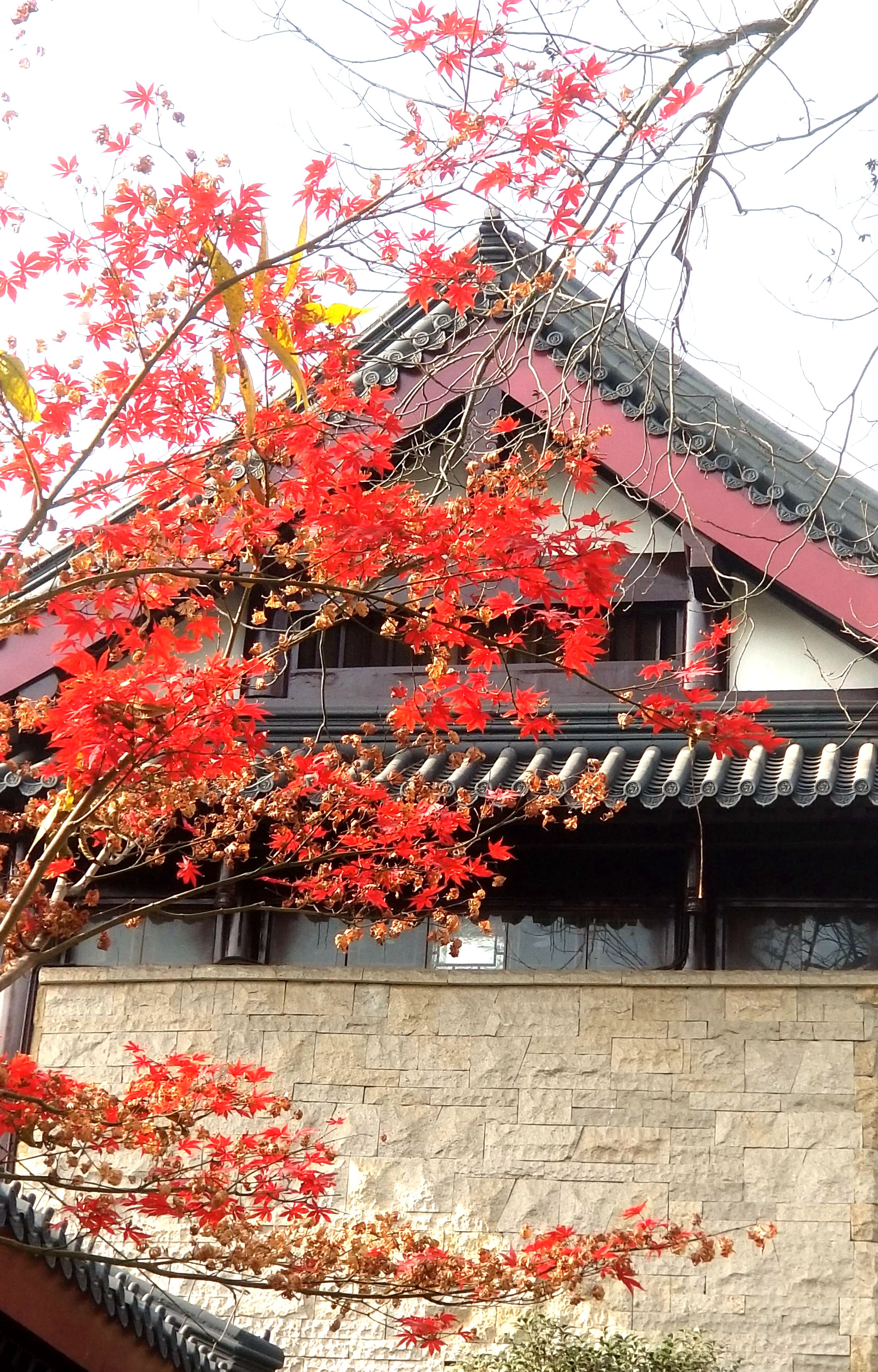 20191212_105053_副本_副本.jpg