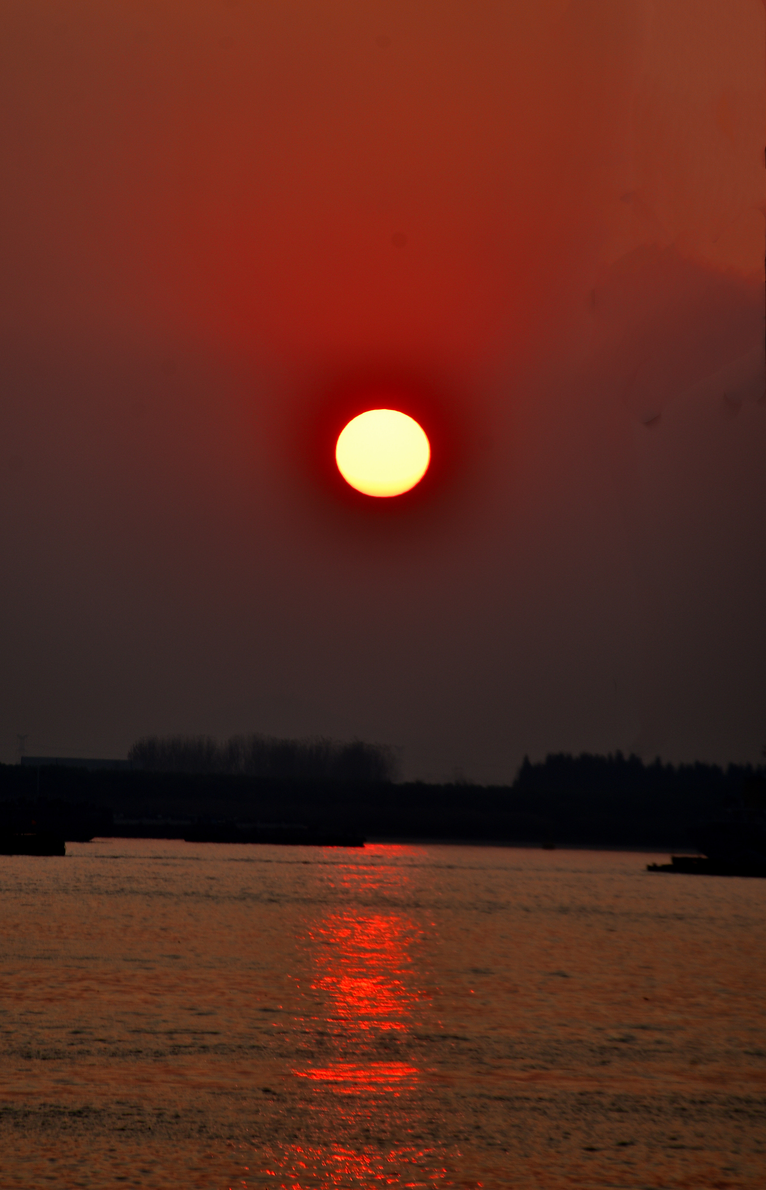 DSC_3882 nn.jpg