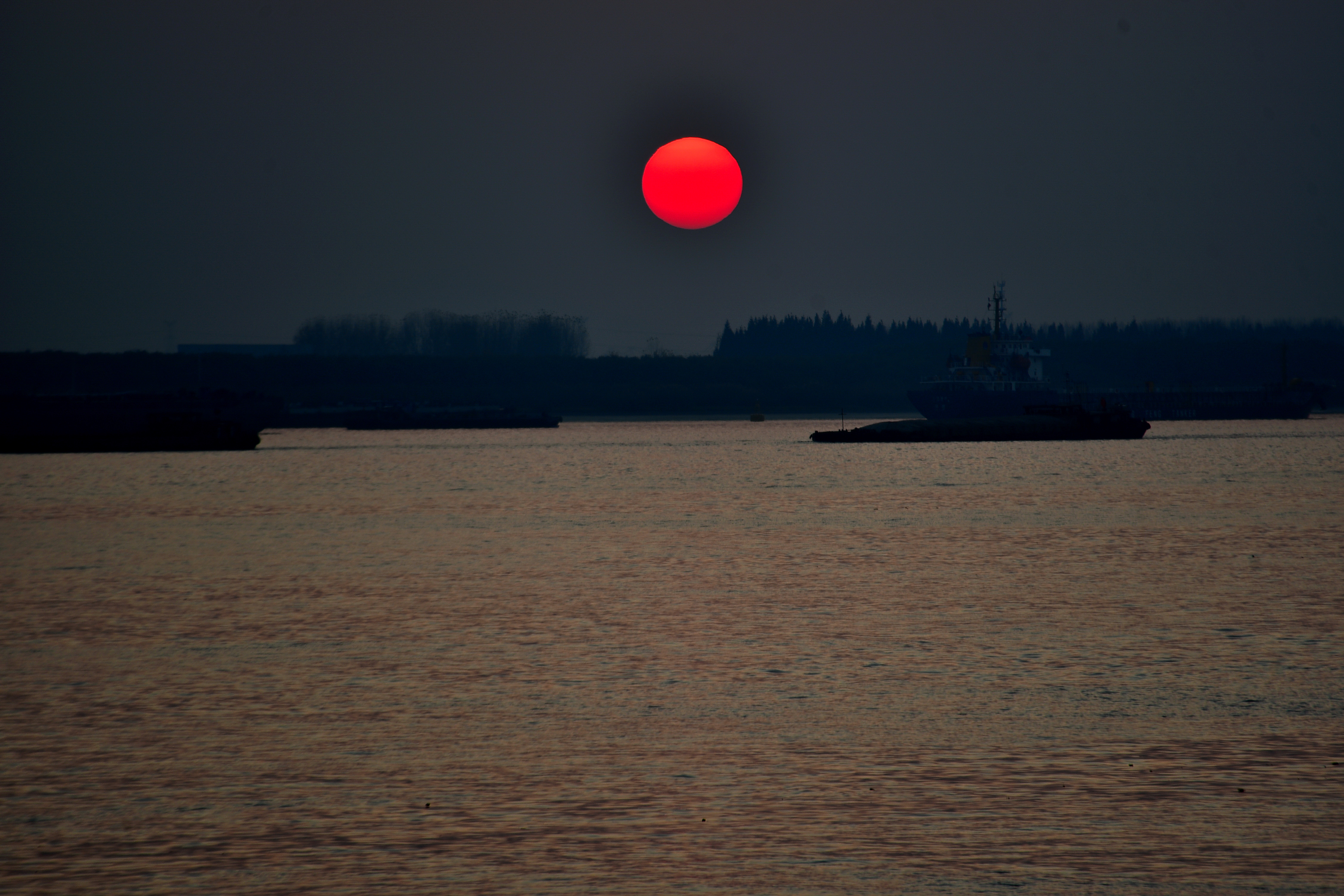 DSC_3890  n n.JPG