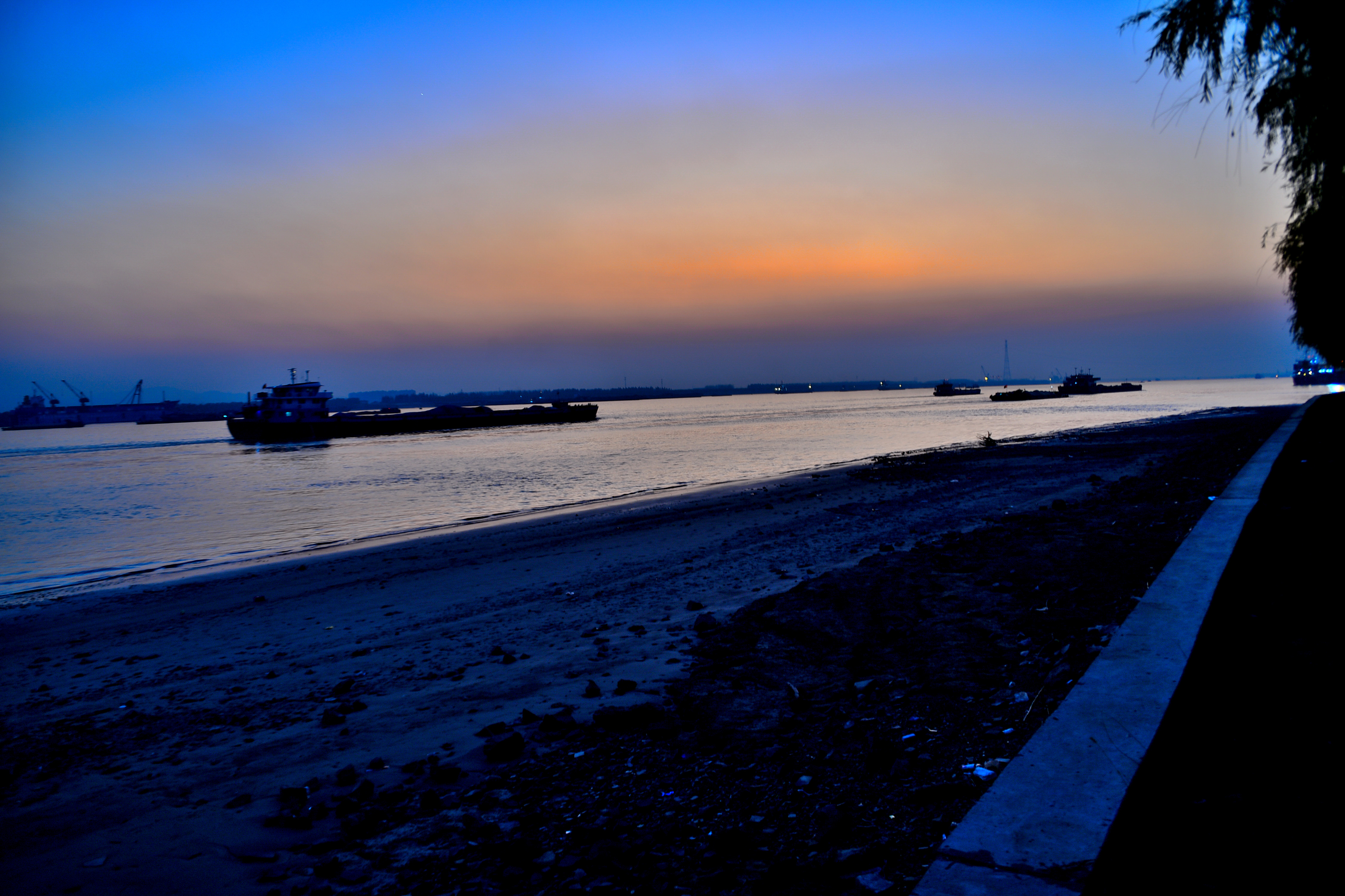 DSC_3893 n n.JPG