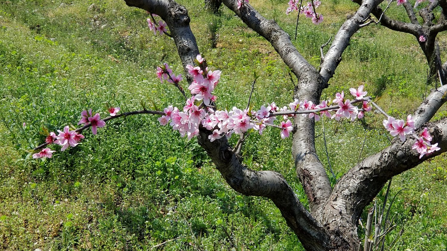20190331_120854_副本.jpg
