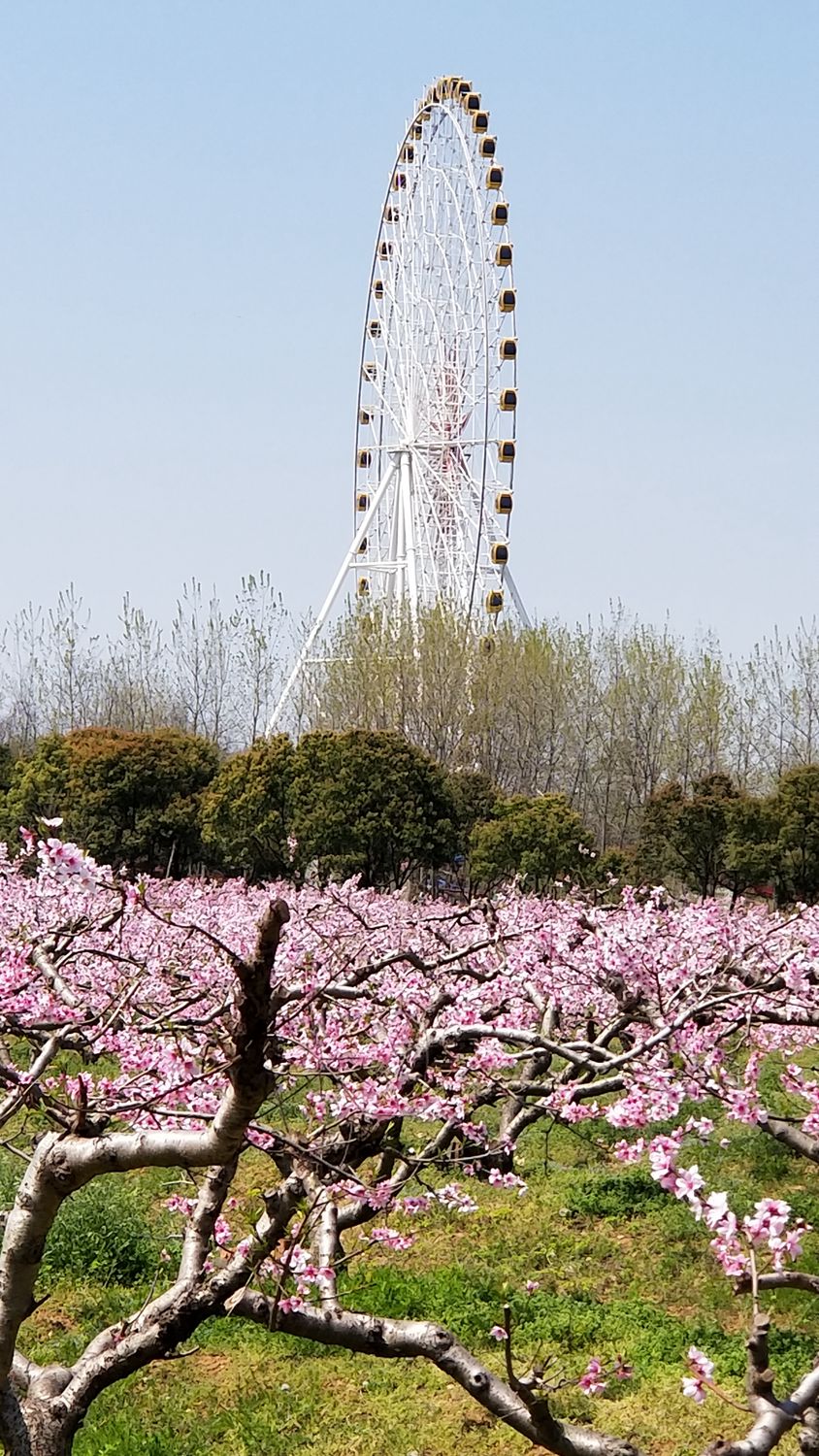 20190331_115551_副本.jpg