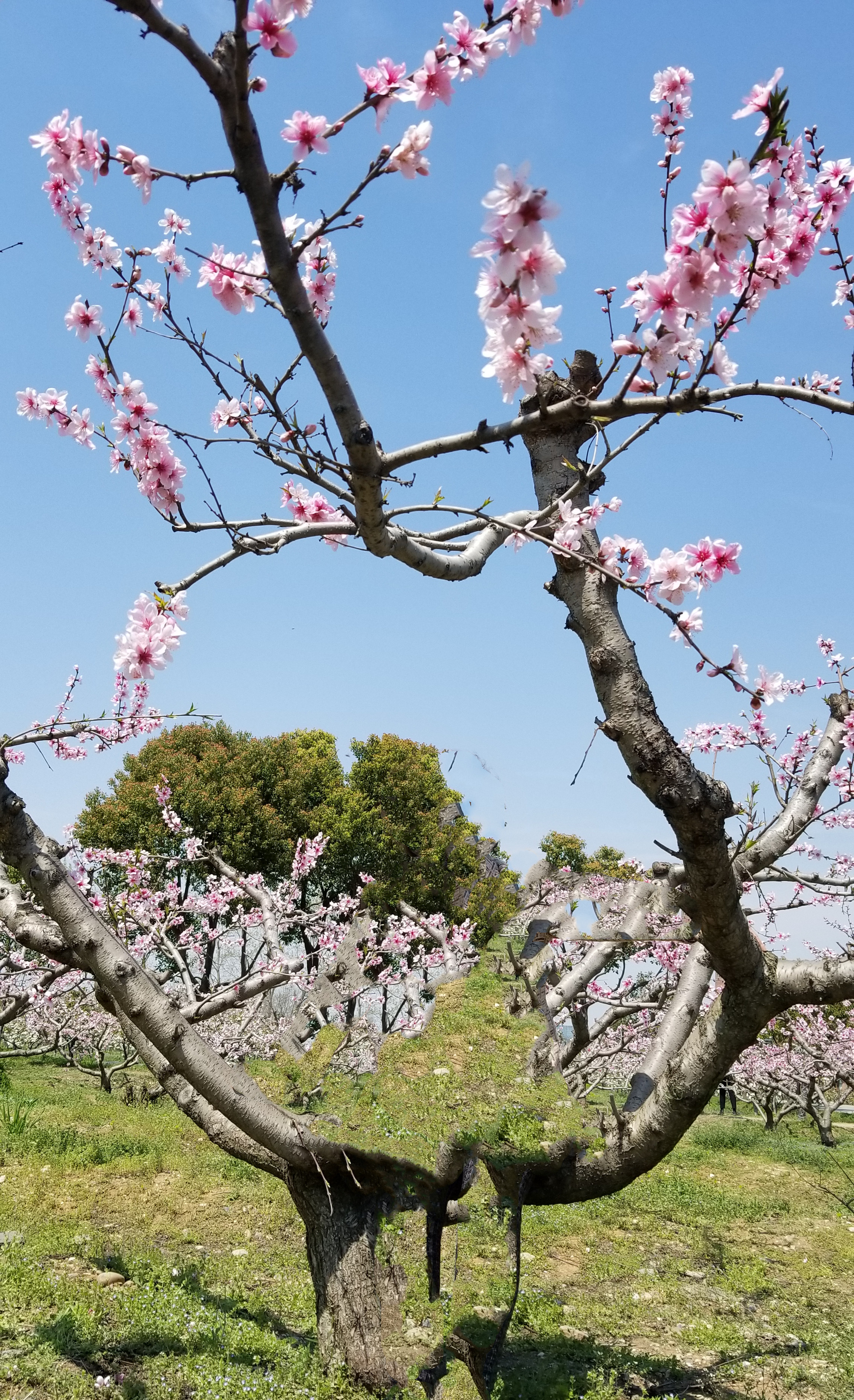 20190331_120030 m.jpg