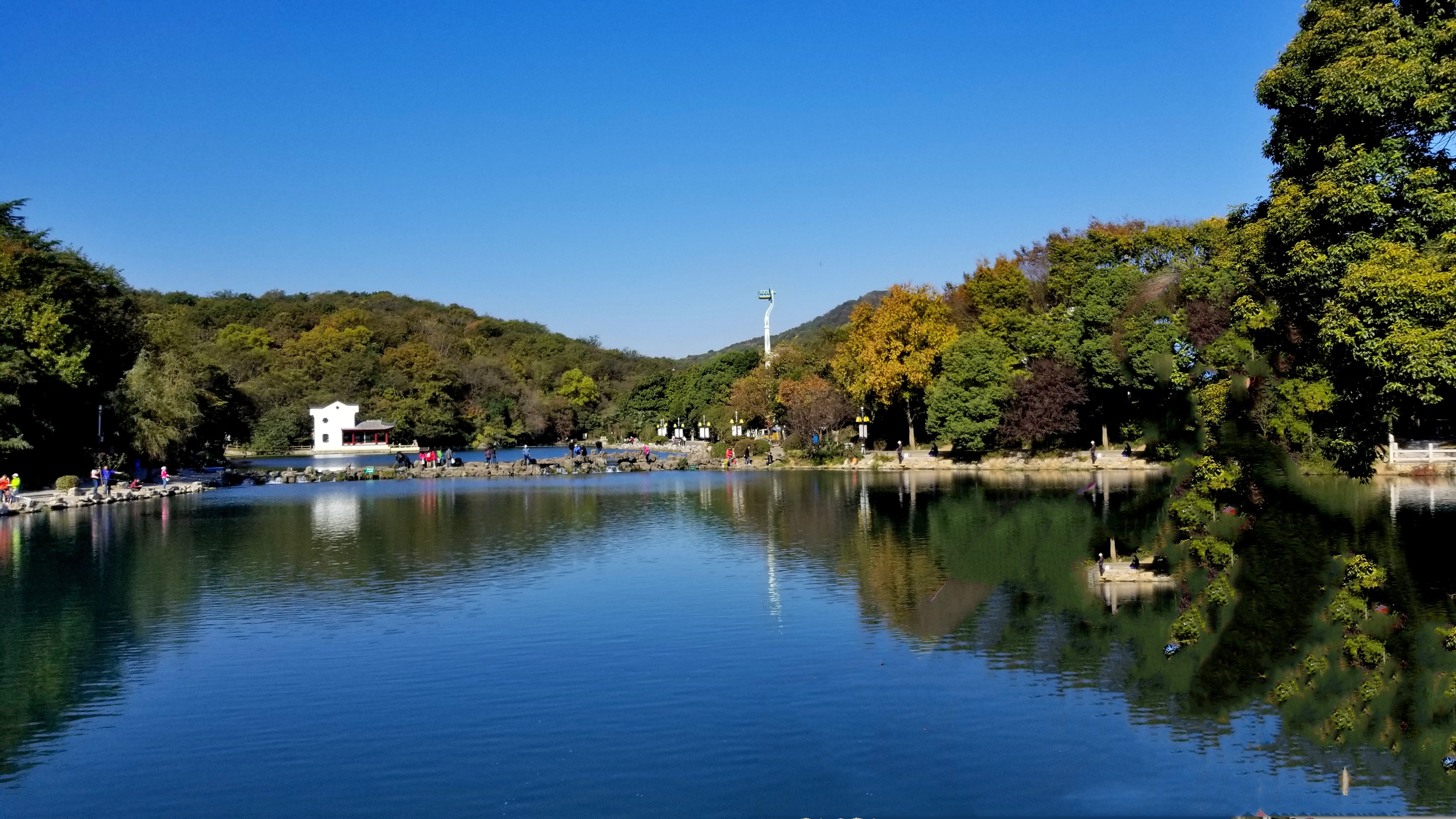 20171104_094433 n.jpg