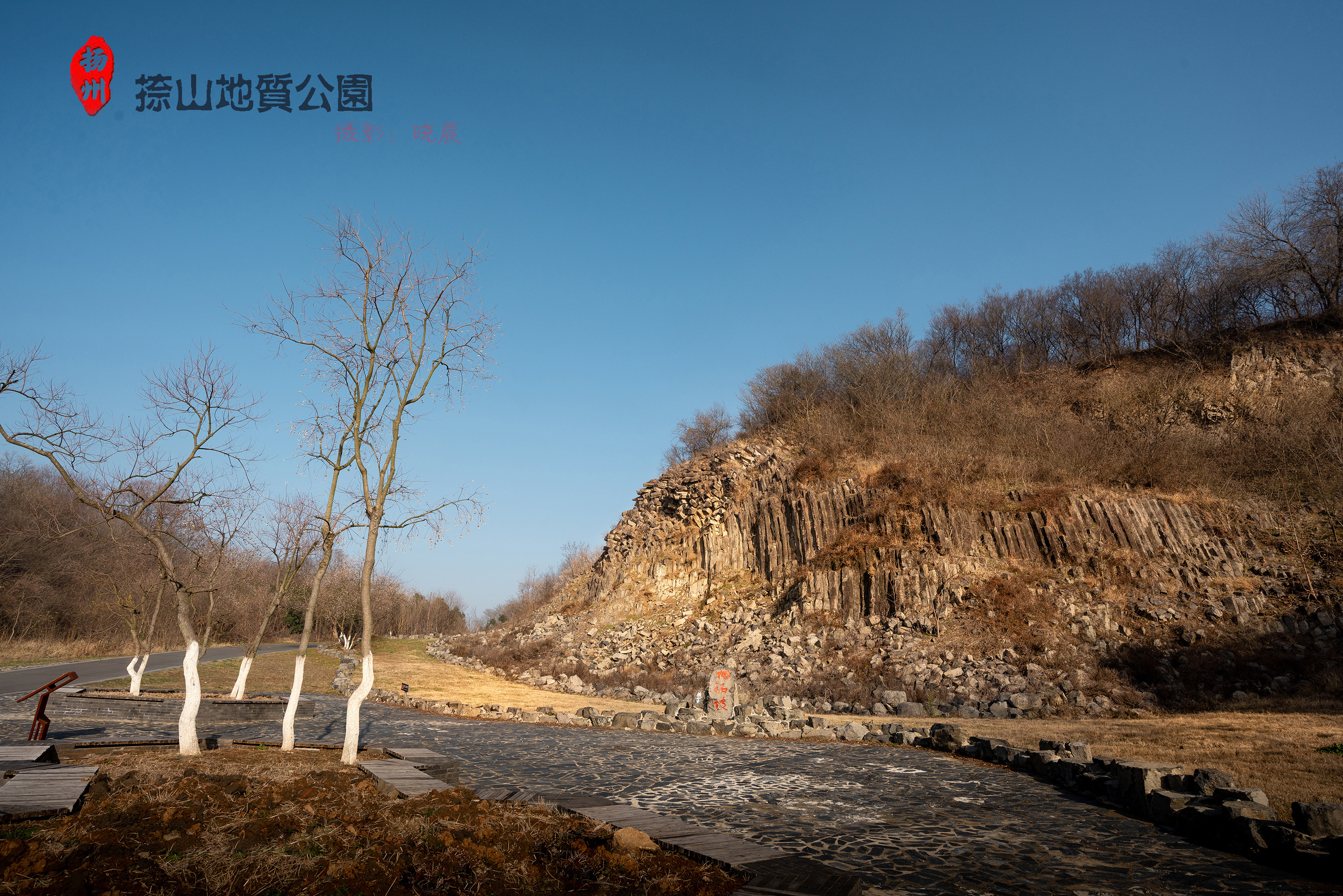 DSC_5043-1.jpg