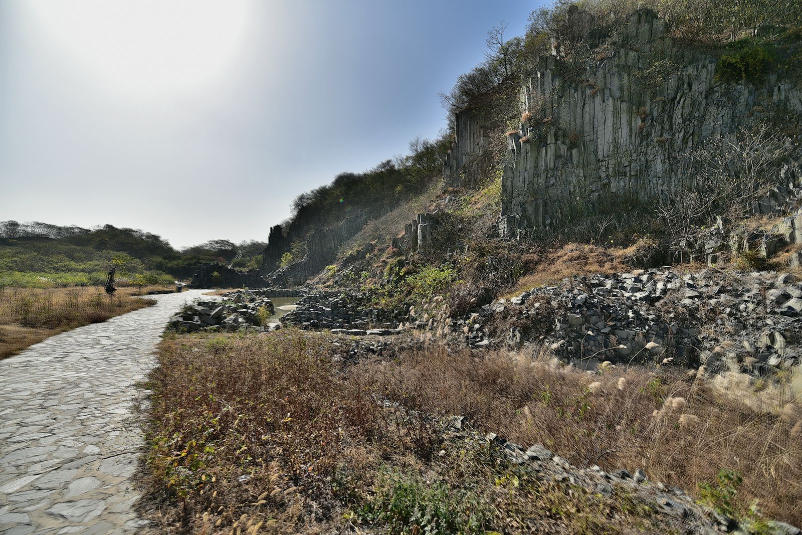 DSC_3811 n_副本.jpg