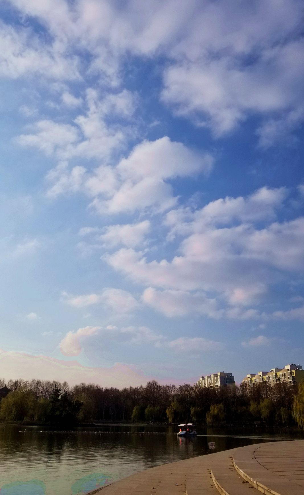 20191231_151207_副本_副本.jpg