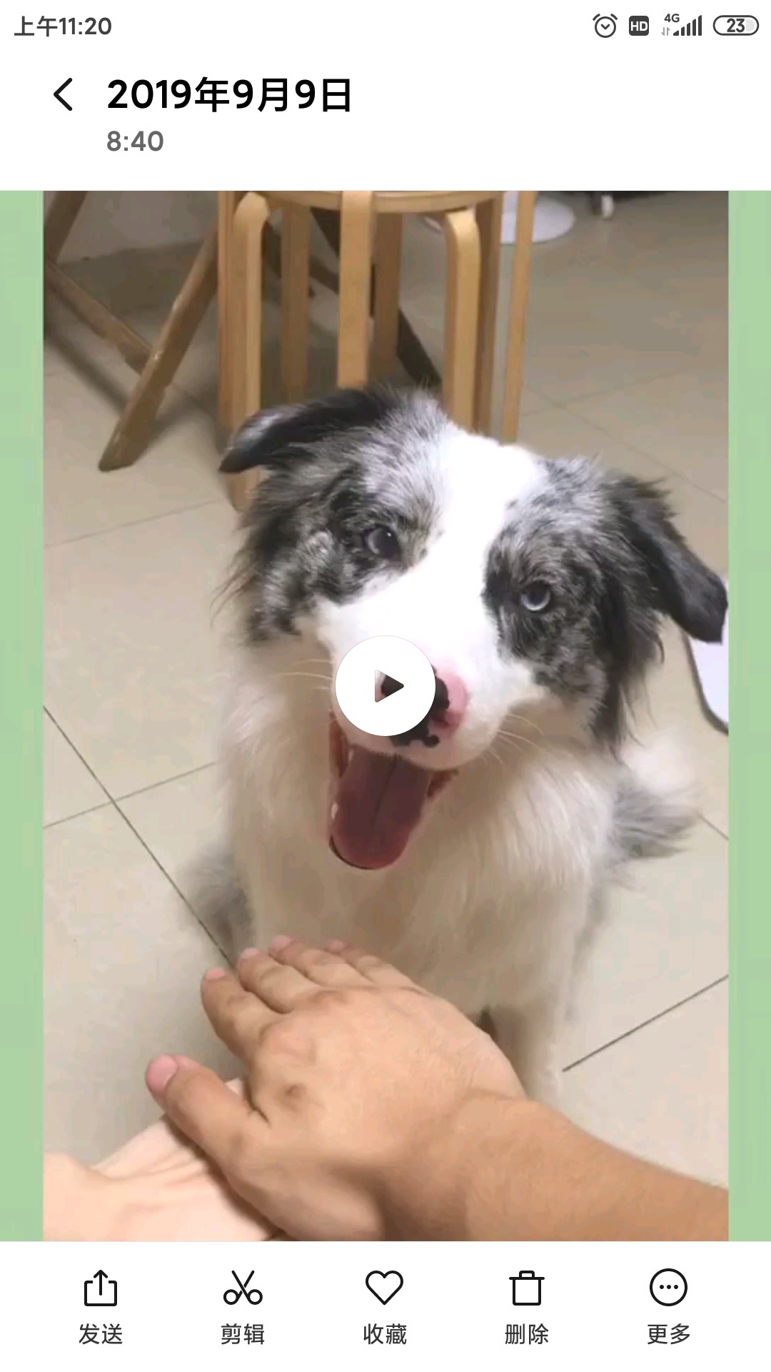 Screenshot_2020-01-18-11-20-46-615_com.miui.gallery.jpg