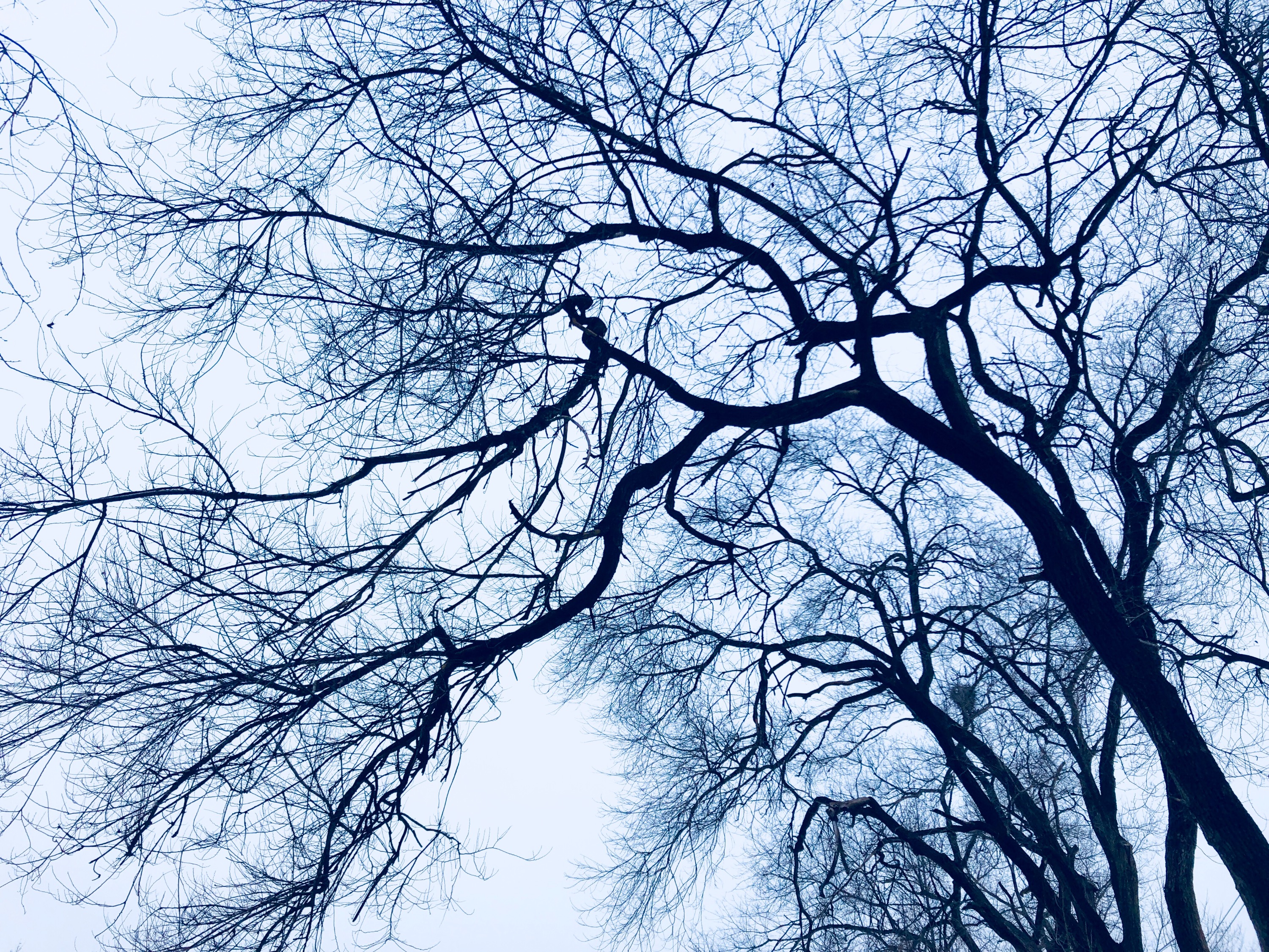 26DBC078-1D7C-485F-9559-1AD20798D726.jpeg
