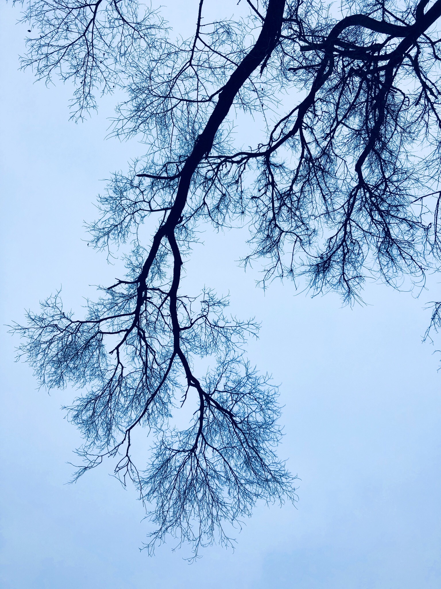 0EF757C4-873B-4A18-AA09-52180CA07092.jpeg