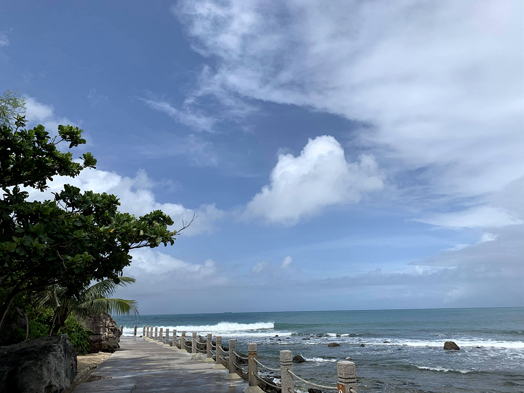 20190904_IMG_2526_副本.jpg