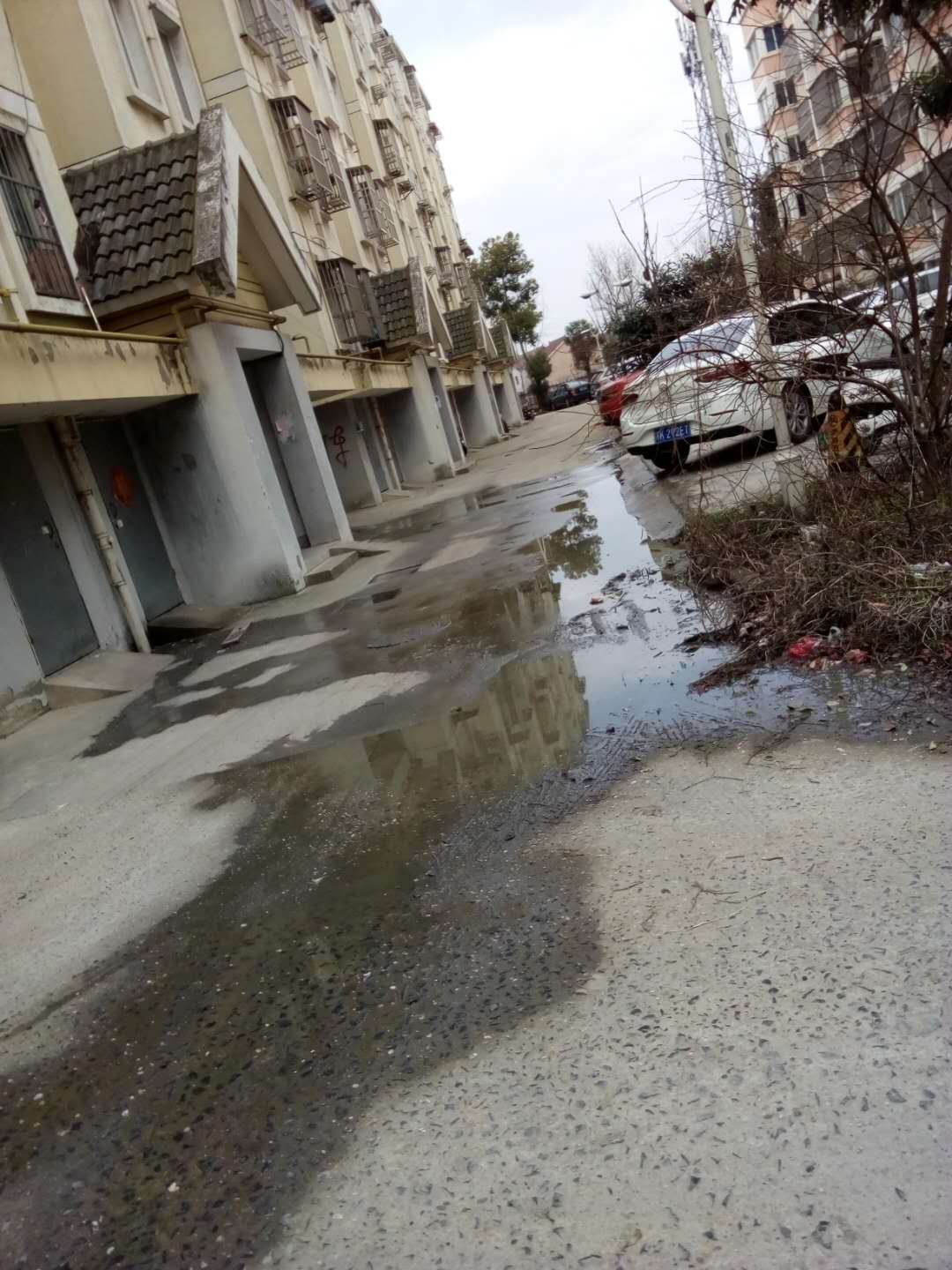 微信图片_5.jpg