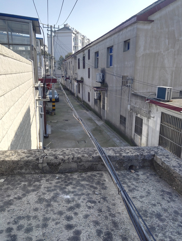 IMG_20200131_102148_副本.jpg