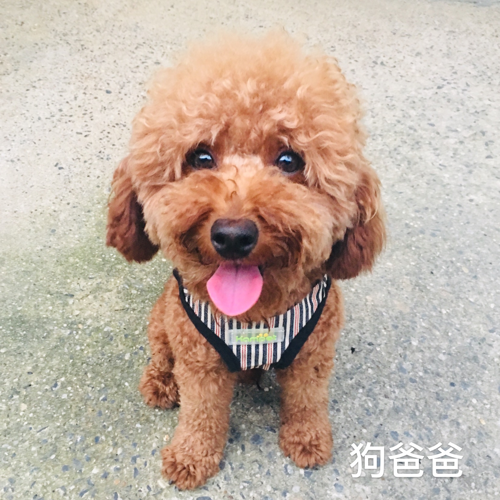 微信图片_20200222103226.jpg