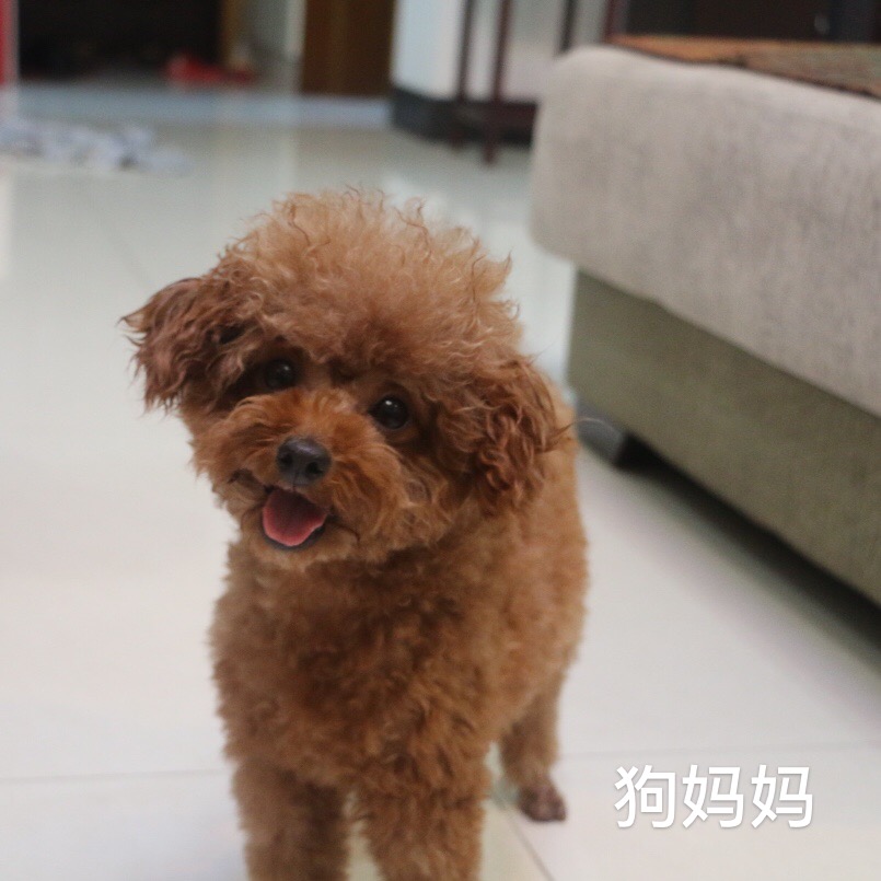微信图片_20200222103258.jpg