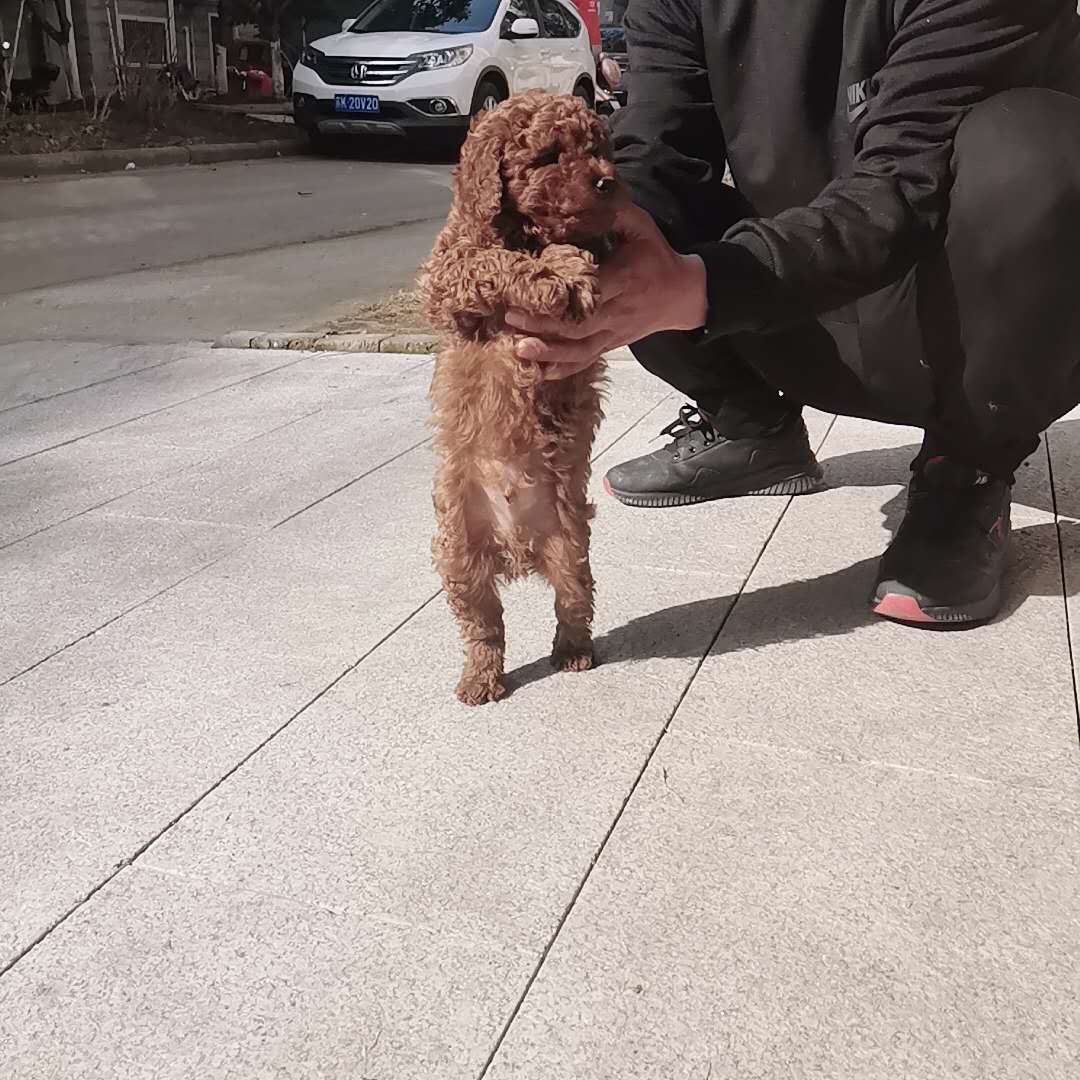 微信图片_20200222103627.jpg