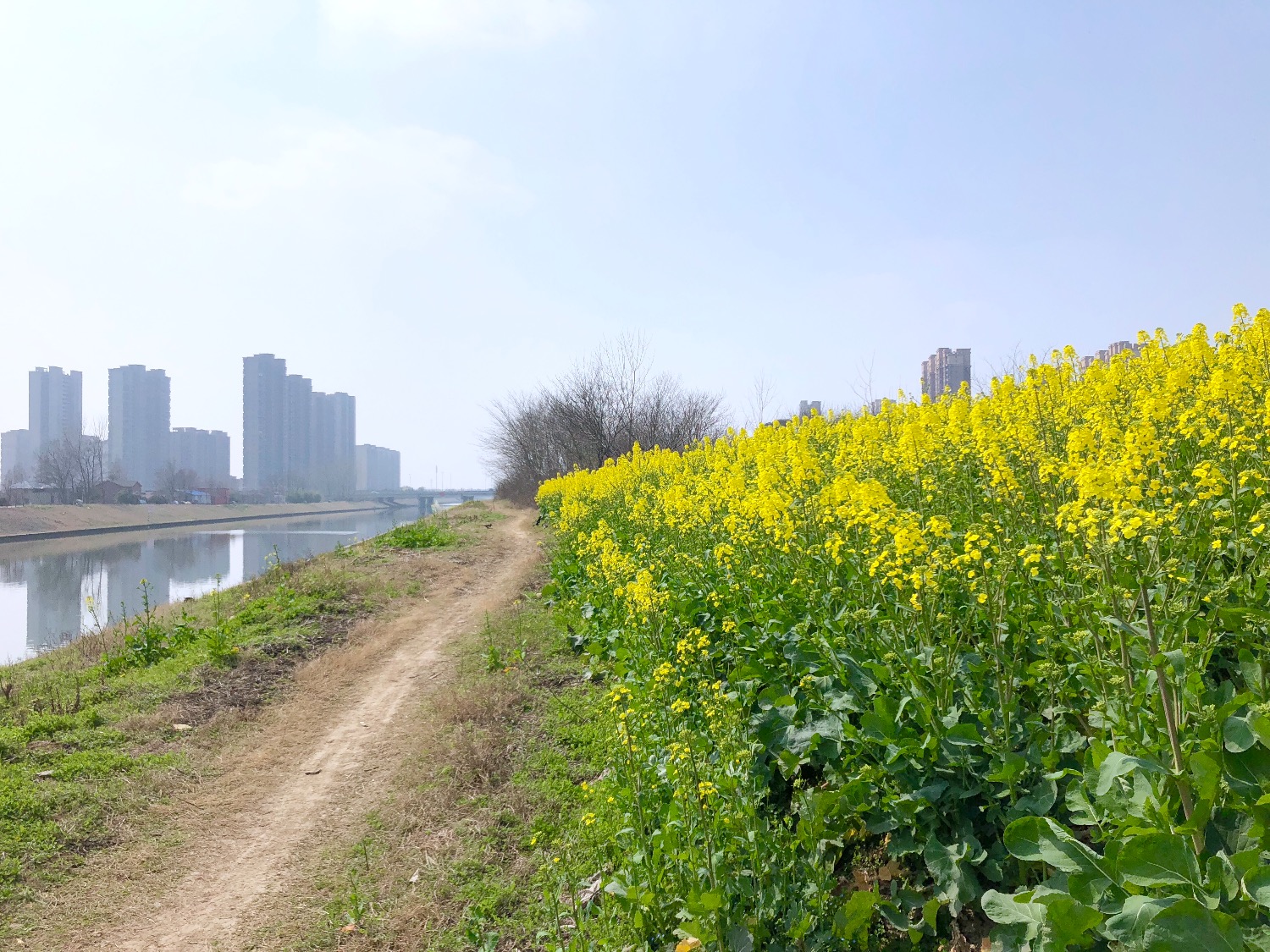 E27C94EC-4073-4967-AE5E-4038C314887C.jpeg