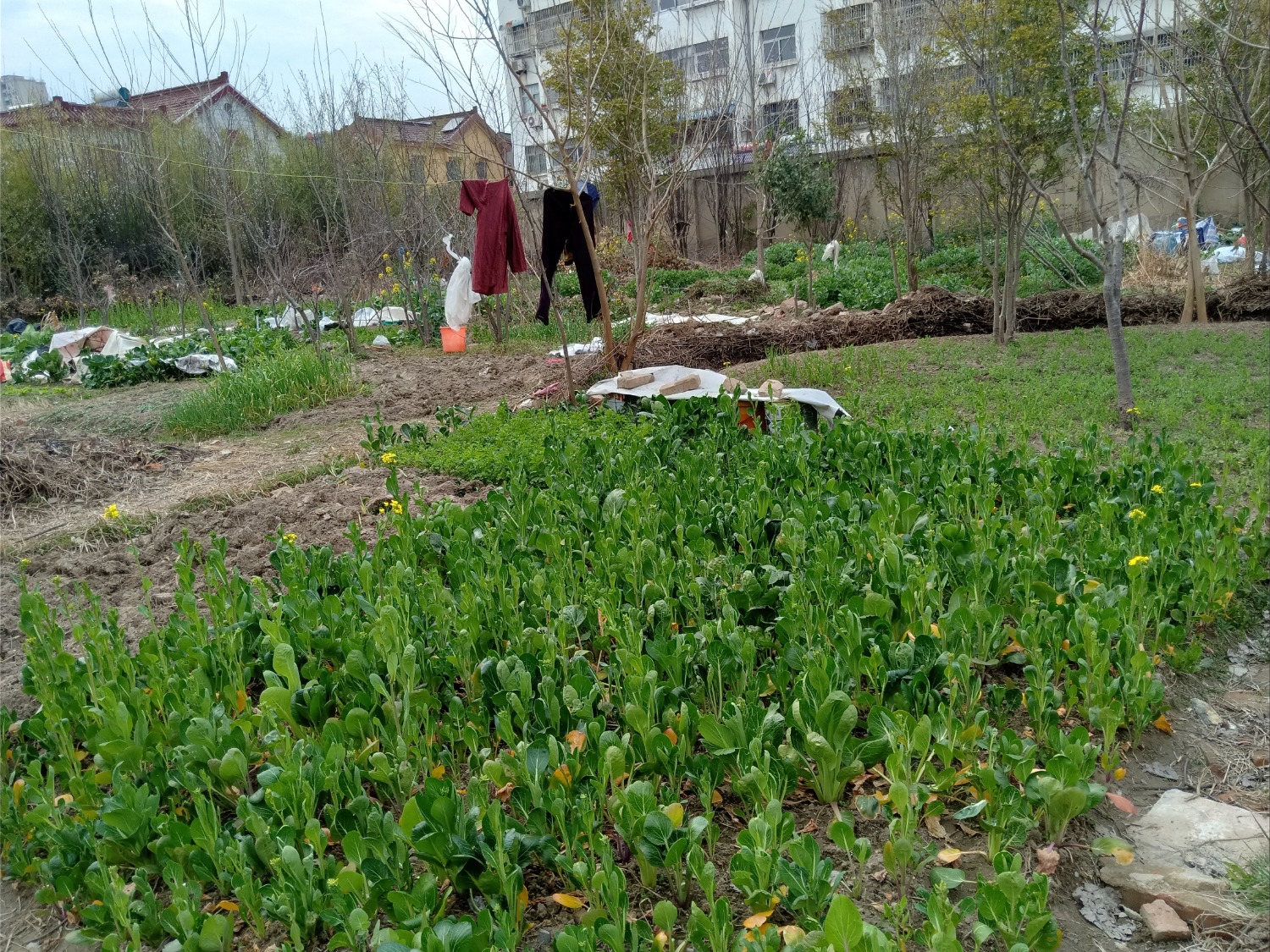 IMG20200308161304.jpg