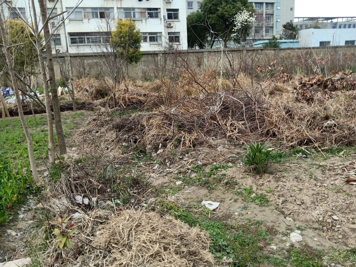 IMG20200308161309.jpg