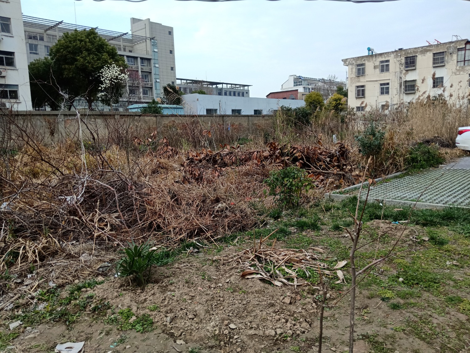 IMG20200308161315.jpg