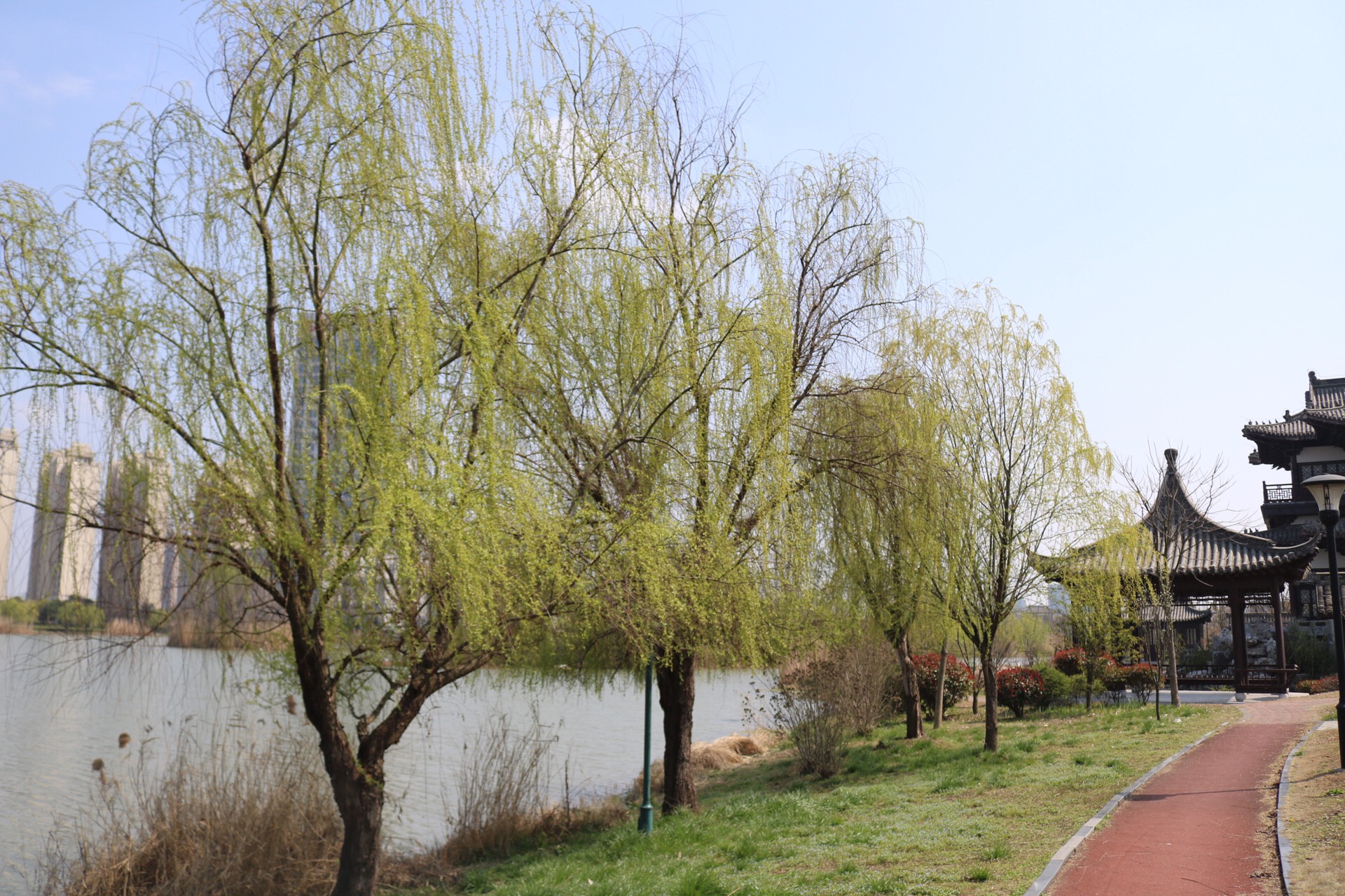 46F3D273-518D-478B-A831-B0BE52D5B019.jpeg