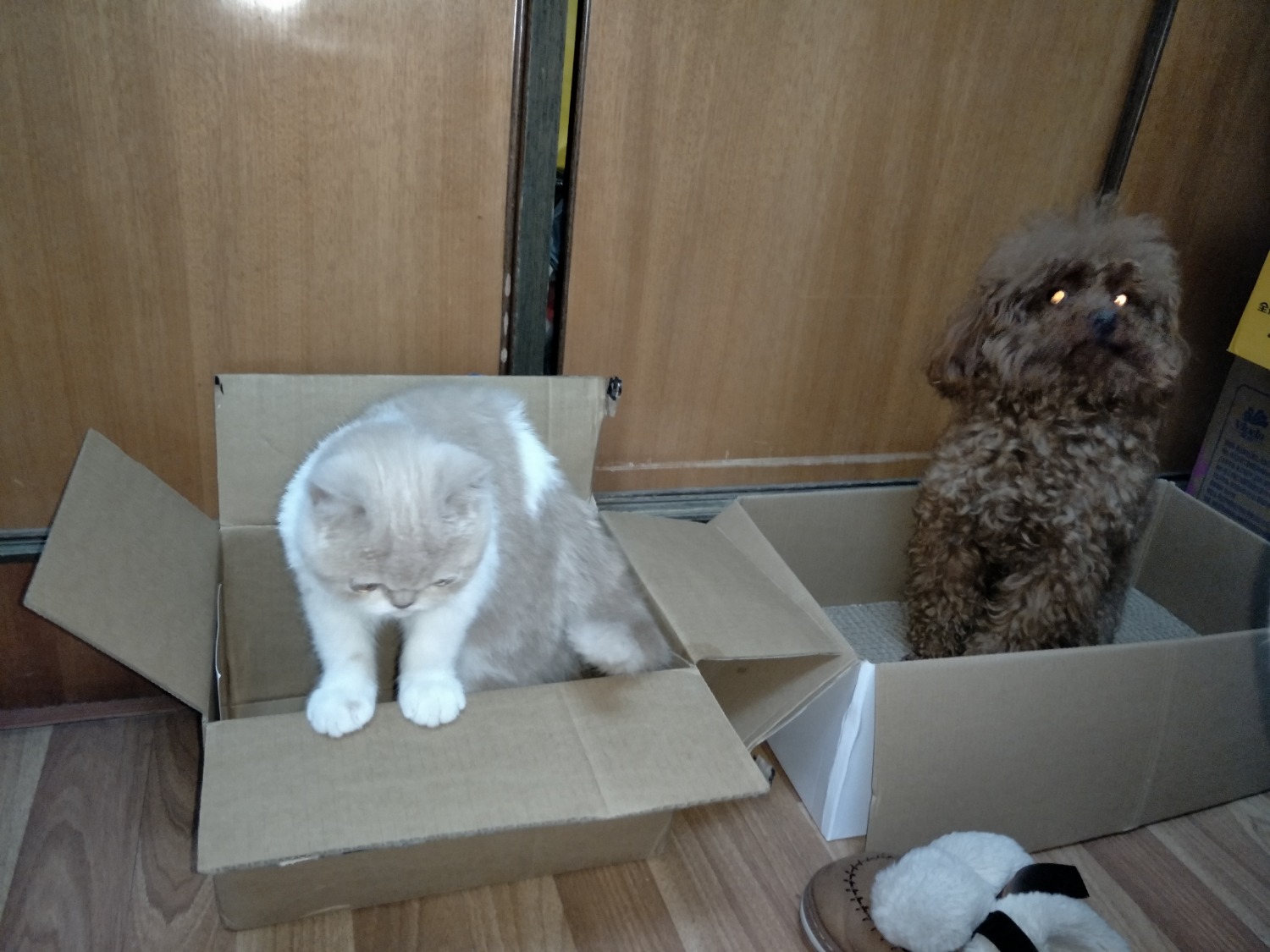 IMG20190421225130.jpg