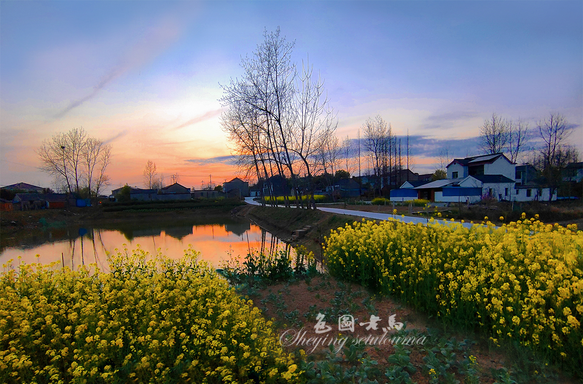 微信图片_20200330185527-1-1-1.jpg