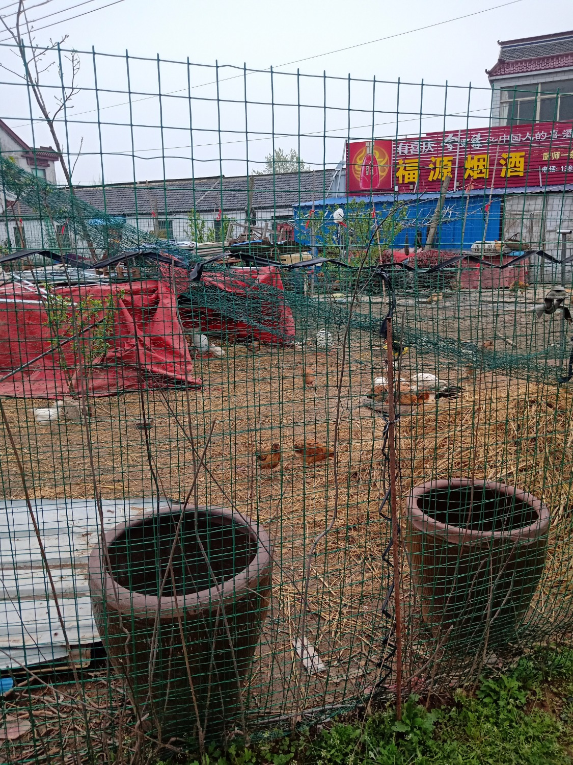IMG20200401175449.jpg