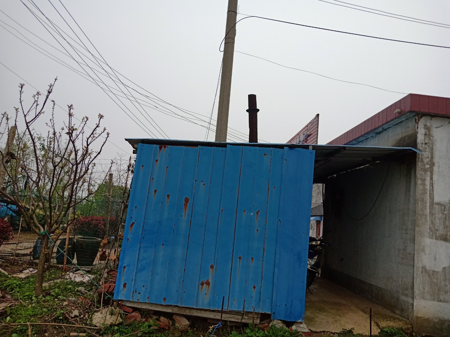 IMG20200401175346.jpg
