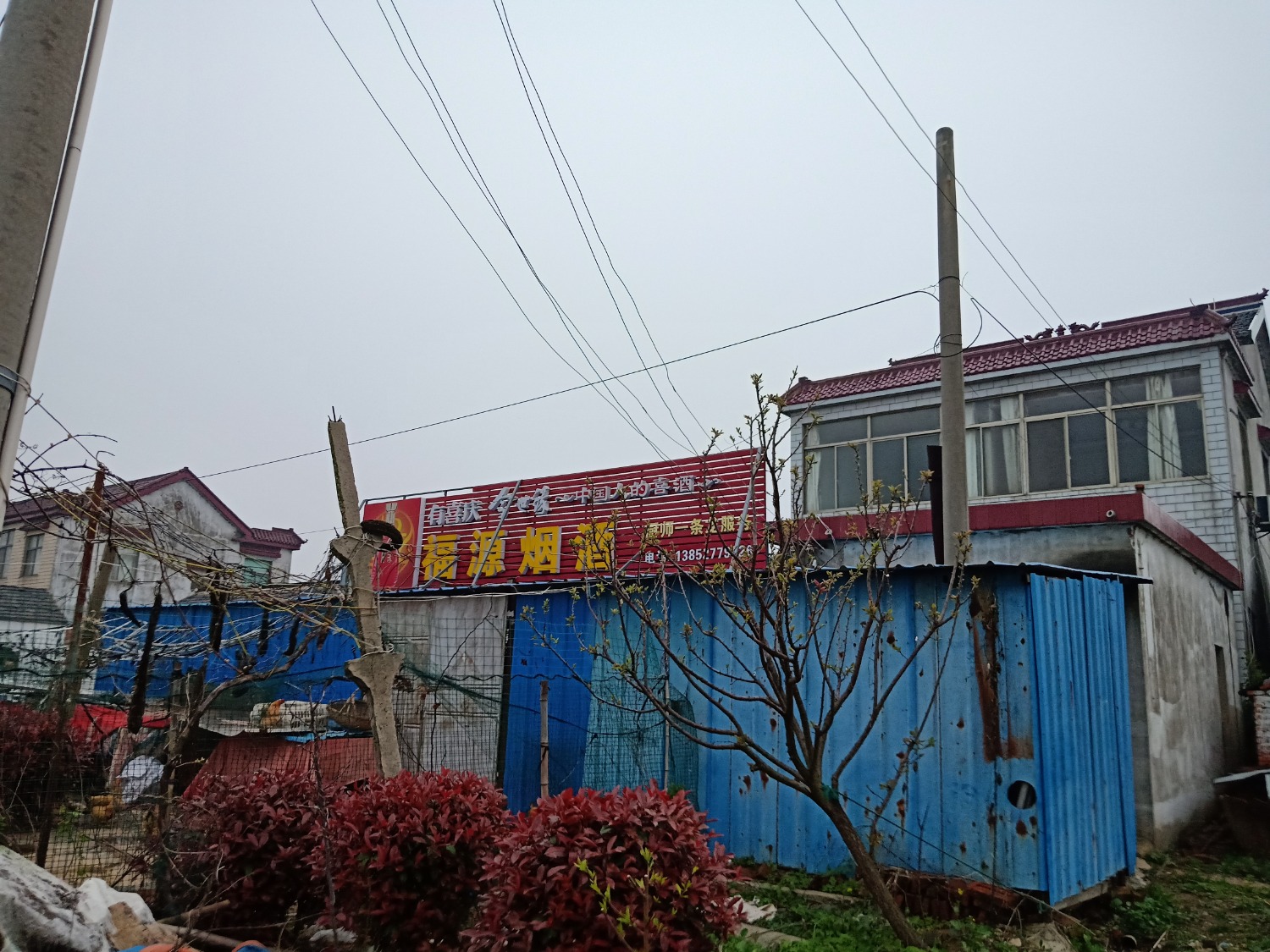 IMG20200401175408.jpg