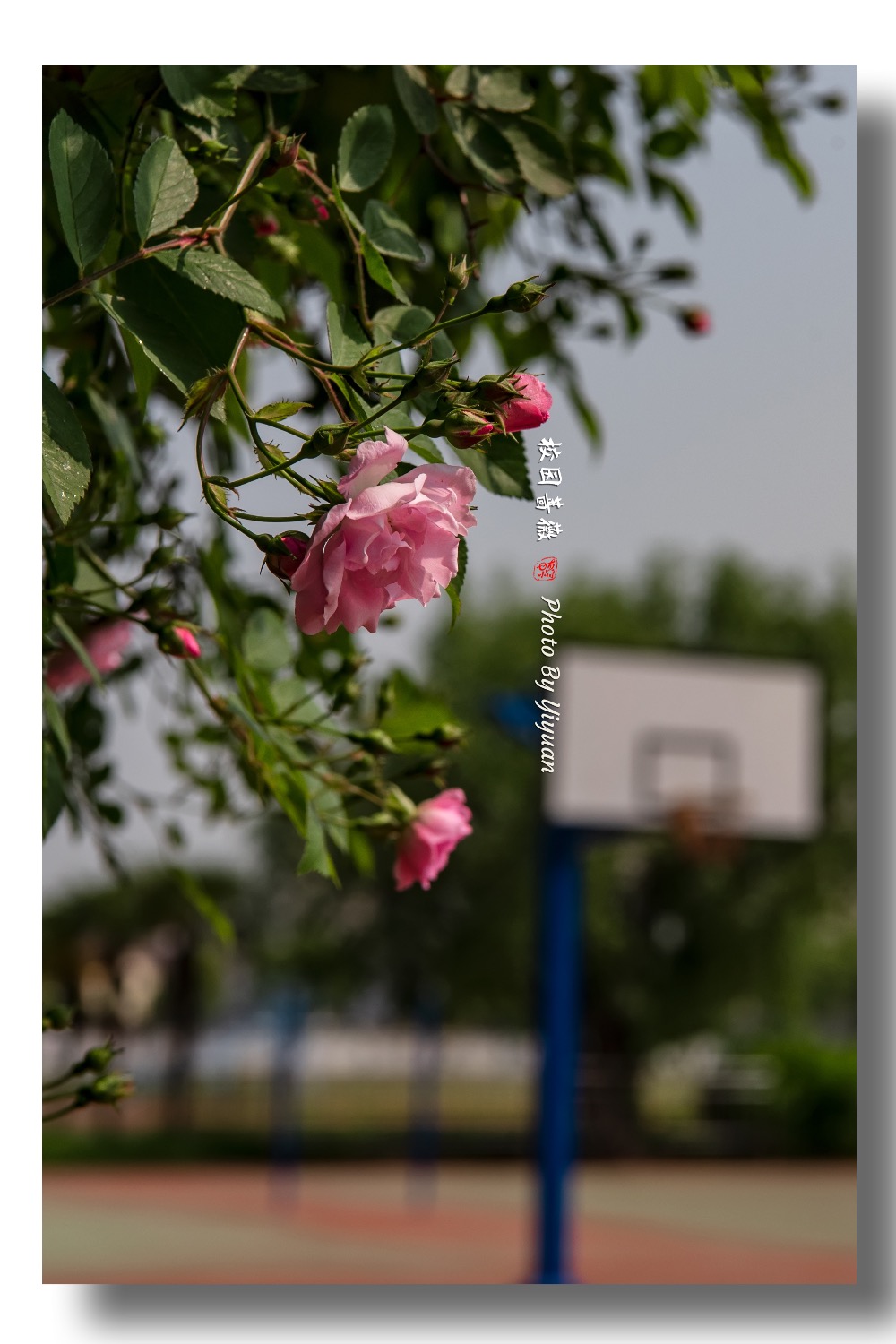 335A25F3-5DCE-4927-A8C7-B79D5CE36A59.jpeg