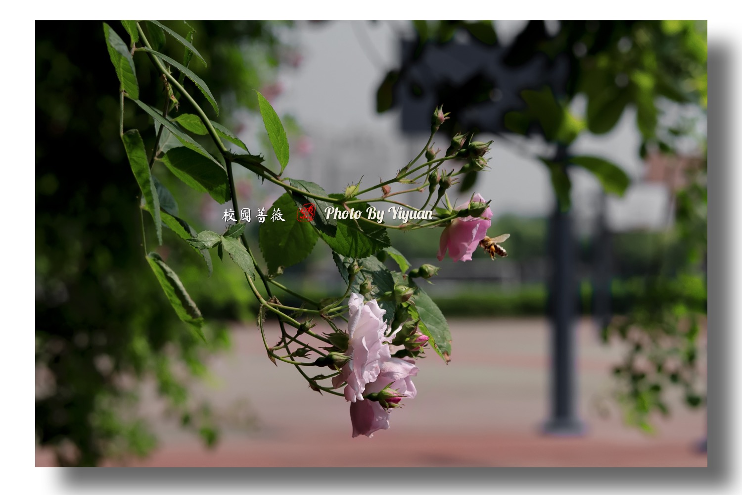 335A25F3-5DCE-4927-A8C7-B79D5CE36A59.jpeg
