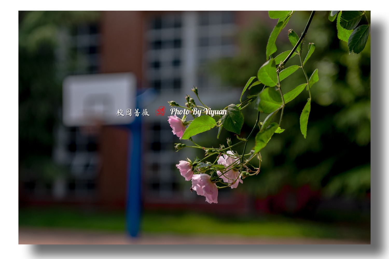 335A25F3-5DCE-4927-A8C7-B79D5CE36A59.jpeg