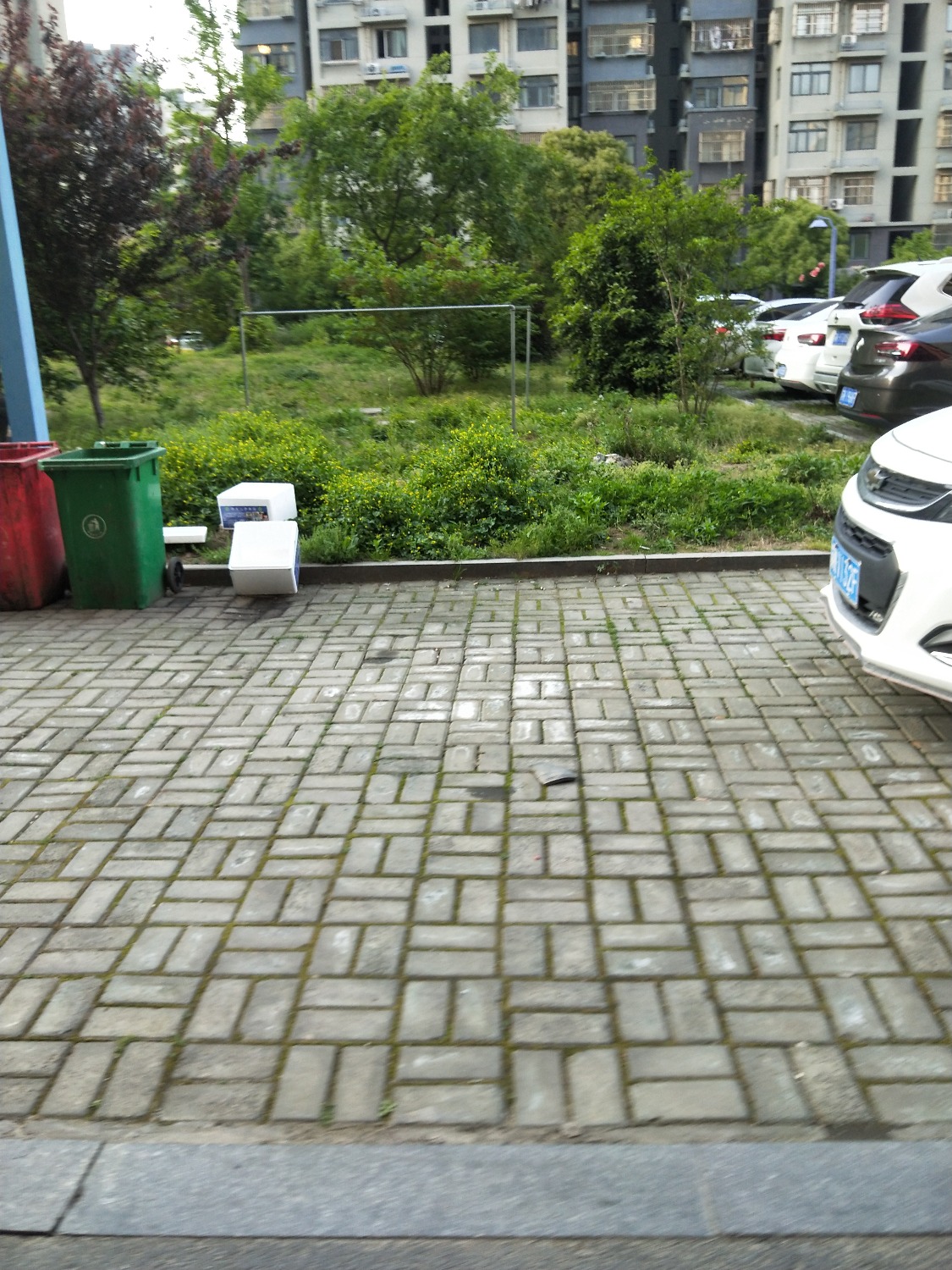 IMG20200428173935.jpg