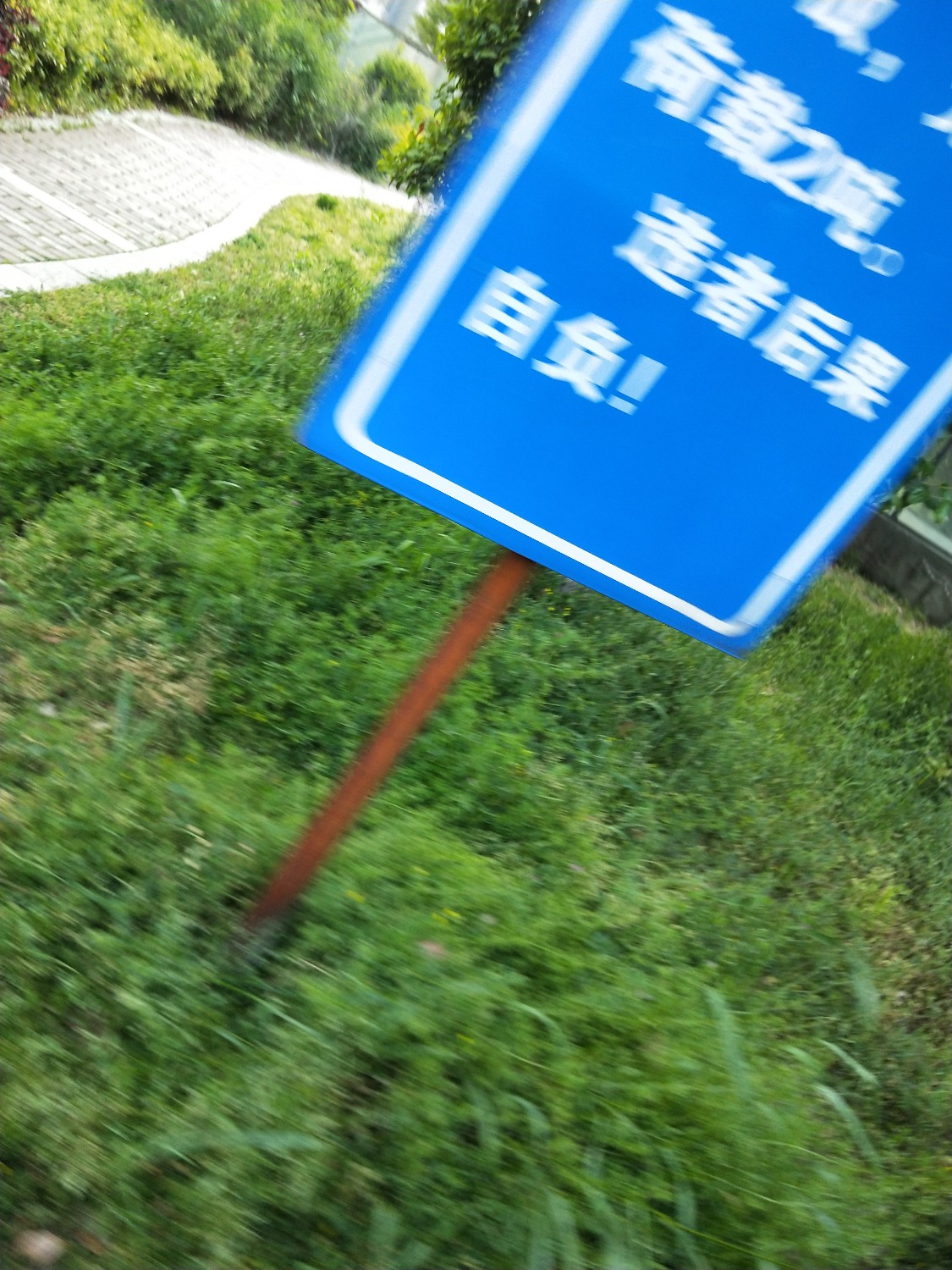 IMG20200428173956_1.jpg