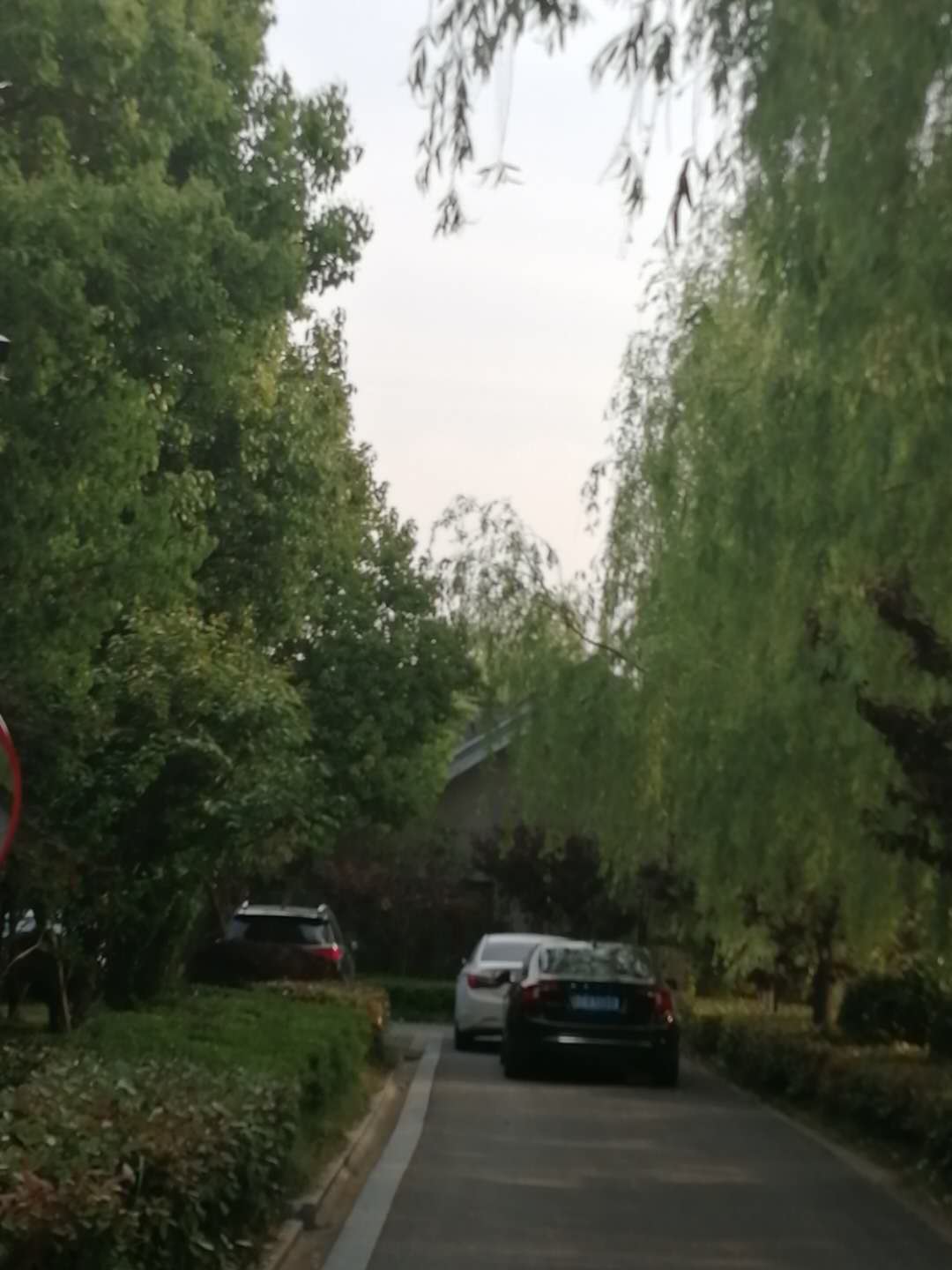 1102688033.jpg