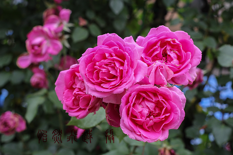 IMG_9260~1.jpg