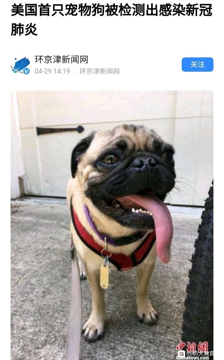 A0D61A270B5009FC2298E584C01CD804.jpg