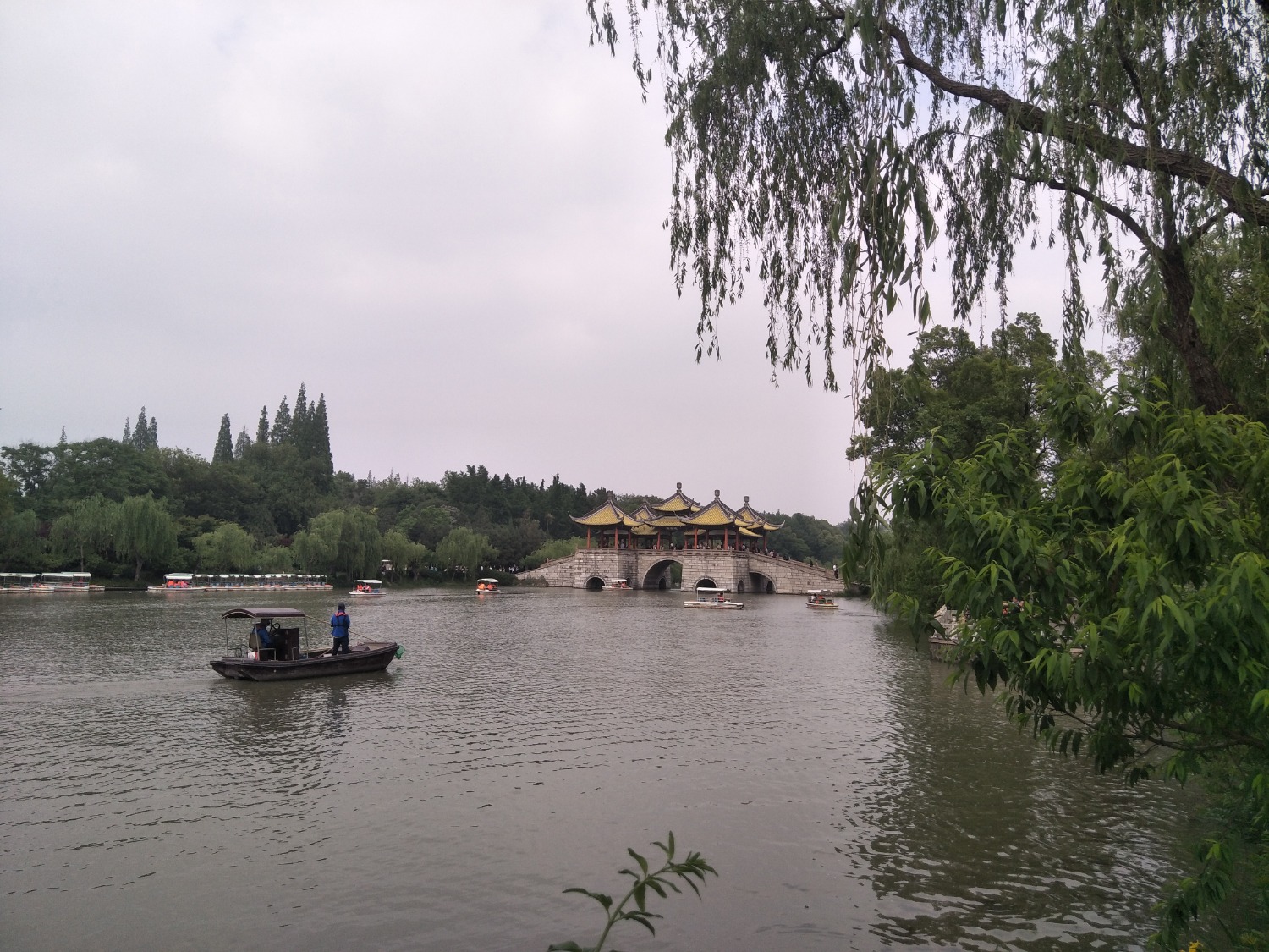 IMG20200510145519.jpg