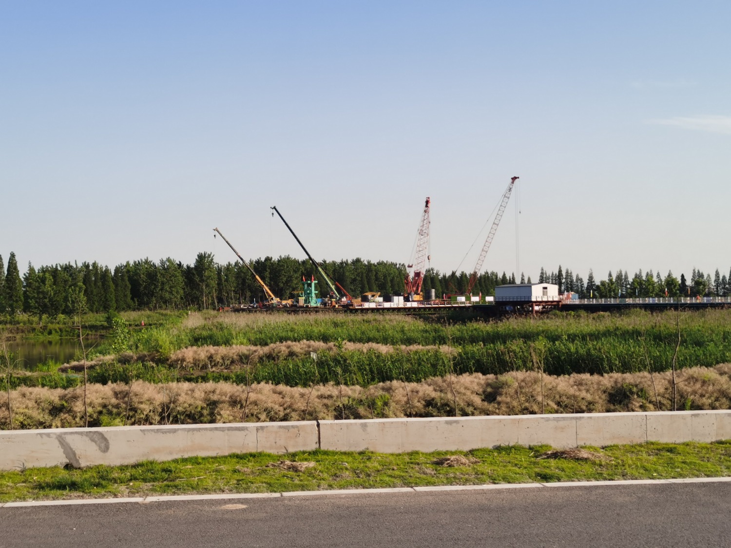 IMG_20200519_173616.jpg